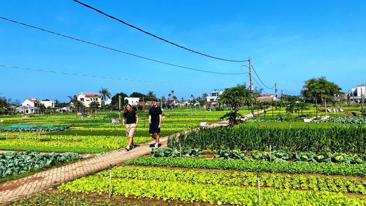 Du xuân ở làng rau di sản, khách Tây hào hứng 'hóa thân' thành nông dân- Ảnh 6.