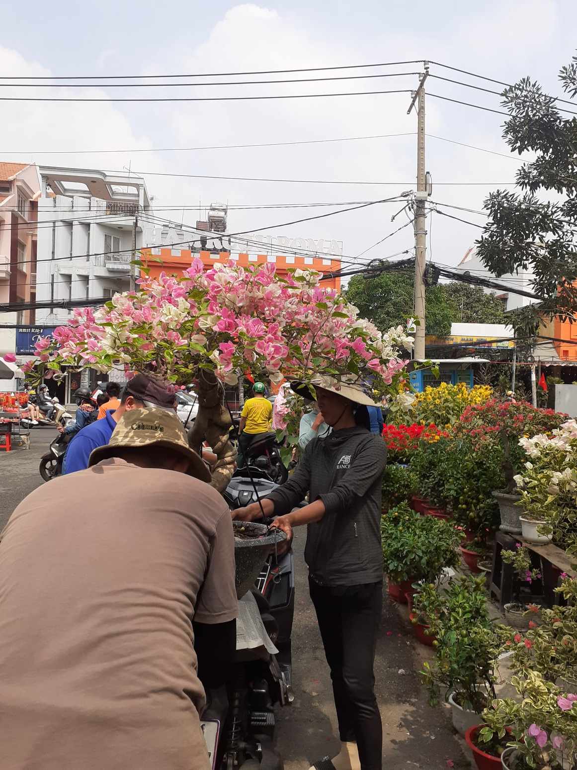 29 giao thừa, chợ hoa Gò Vấp 'chuyển ý yêu thương'!- Ảnh 5.