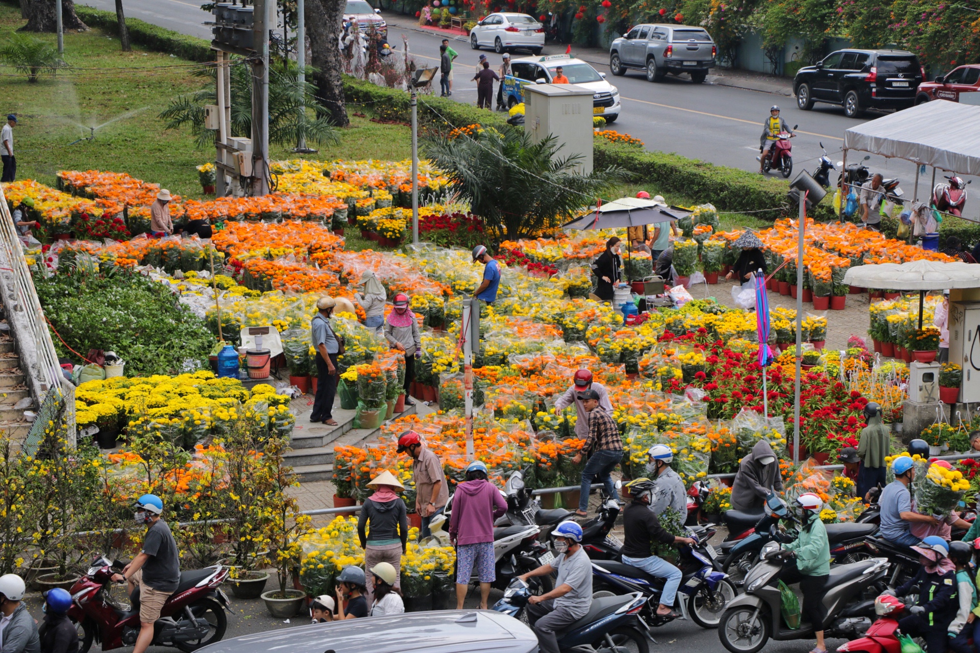 Trưa giao thừa 29 tết: Chợ hoa TP.HCM đại hạ giá 'xả lỗ': 100 chậu bán hết trong… 30 phút- Ảnh 2.