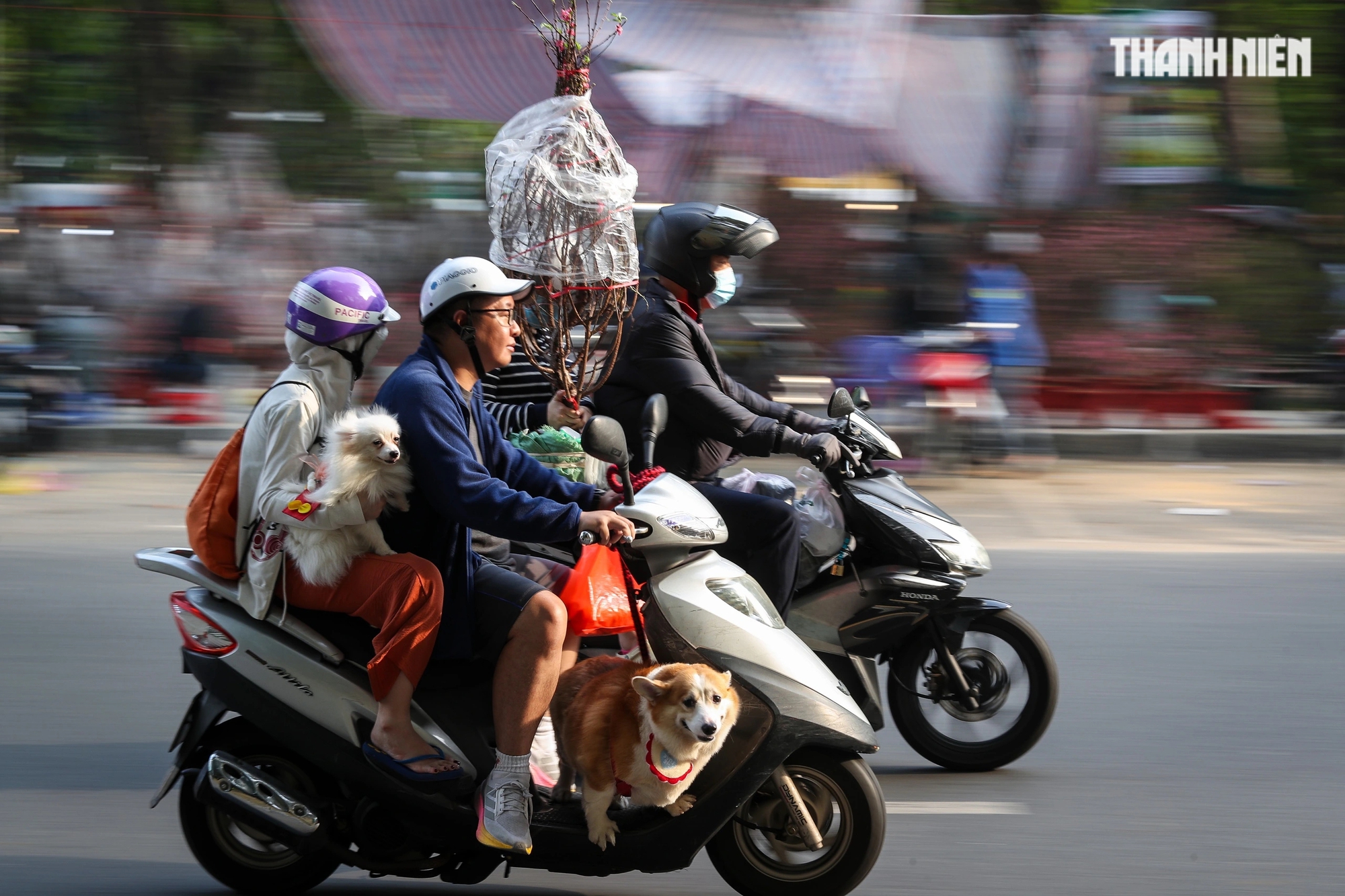 Người dân TP.HCM 'hối hả' mang Tết về nhà vào ngày giao thừa Ất Tỵ 2025- Ảnh 4.