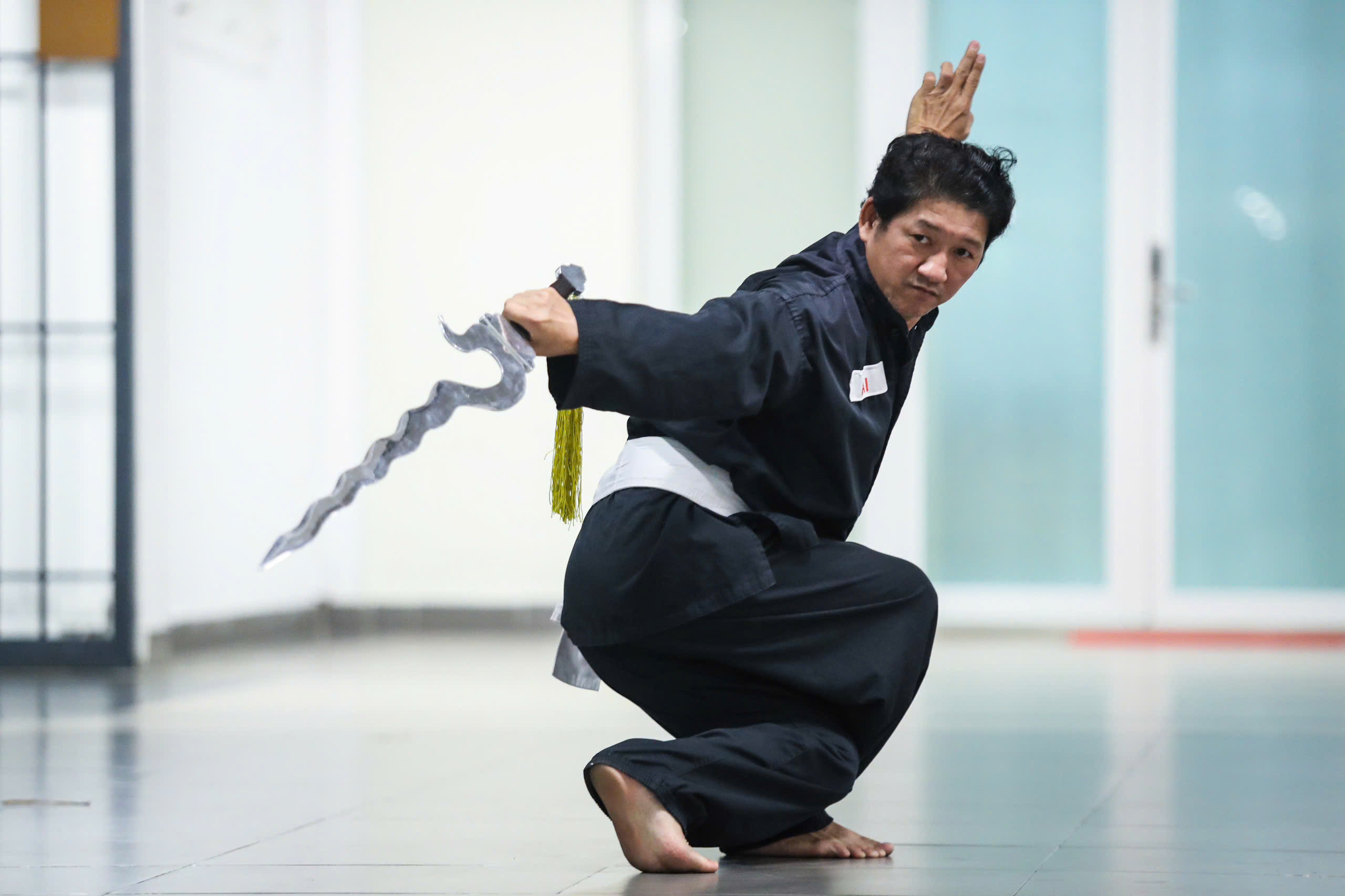 The martial arts martial arts are the quintessence of Vietnam- Photo 2.