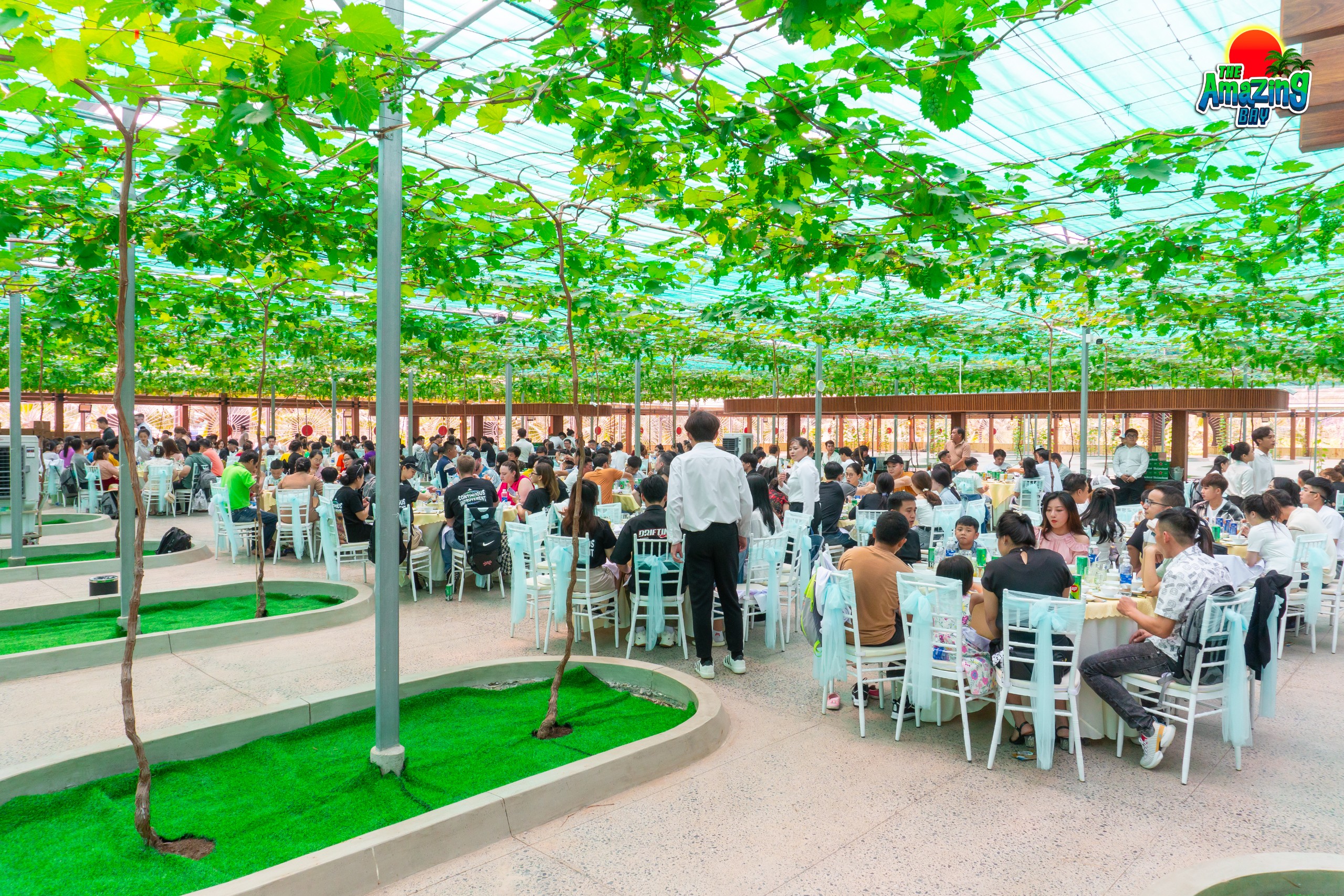 Trải nghiệm ẩm thực dưới giàn nho độc đáo