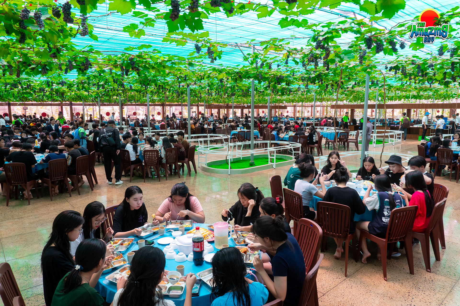 Thưởng thức ẩm thực dưới giàn nho trĩu quả thơ mộng Thưởng thức ẩm thực dưới giàn nho trĩu quả thơ mộng