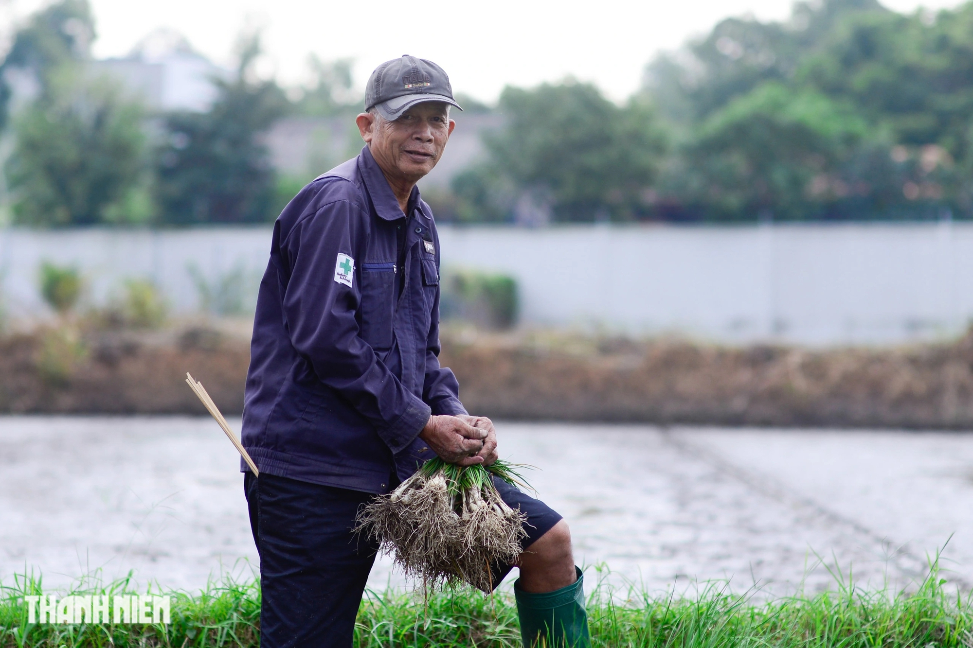 Bị nhổ trộm cả trăm kg trong đêm, 'thủ phủ' củ kiệu tết phải bán sớm - Ảnh 16.