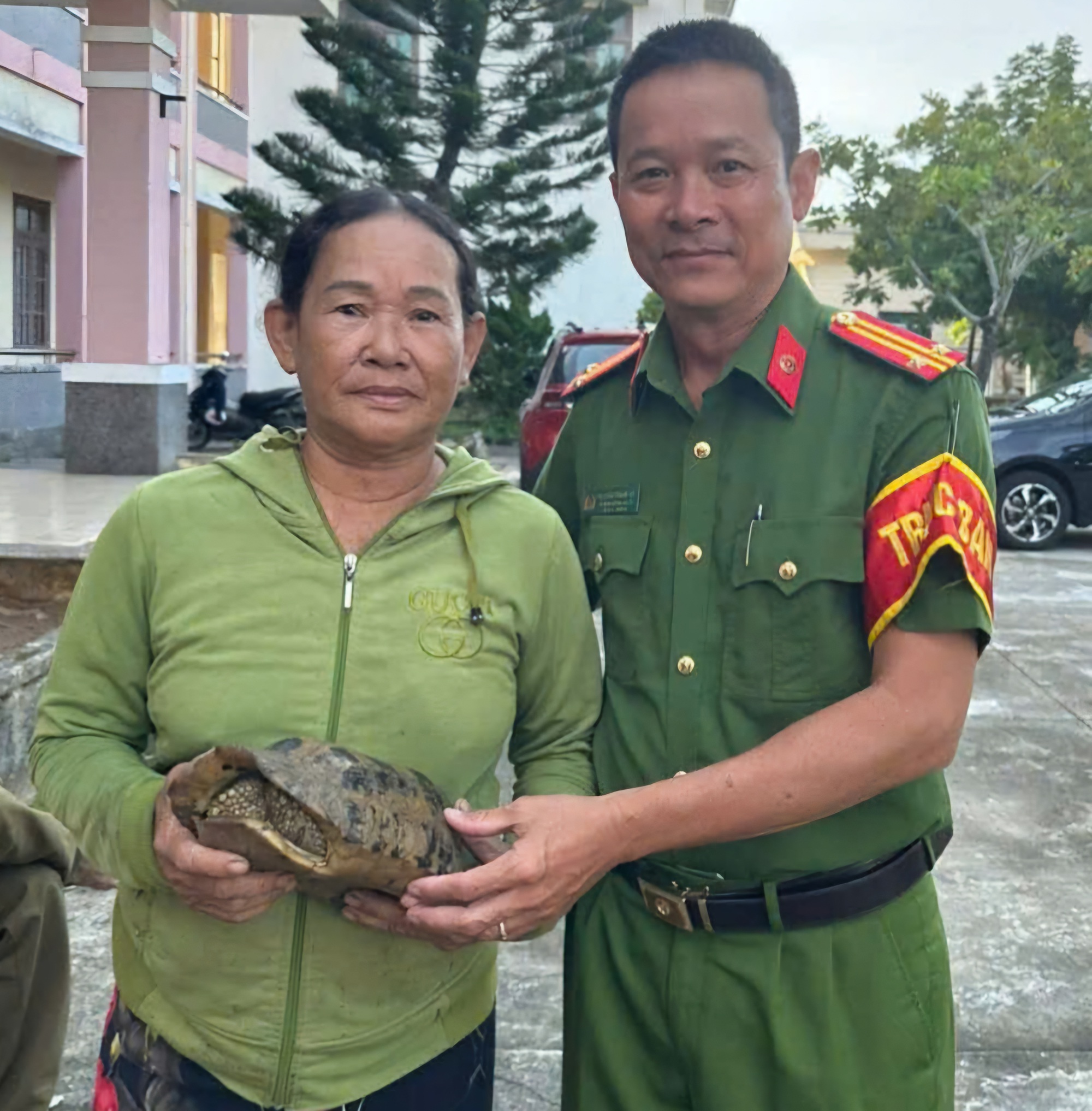 Đi hái rau, người phụ nữ bắt gặp rùa núi vàng cực kỳ quý hiếm- Ảnh 1.