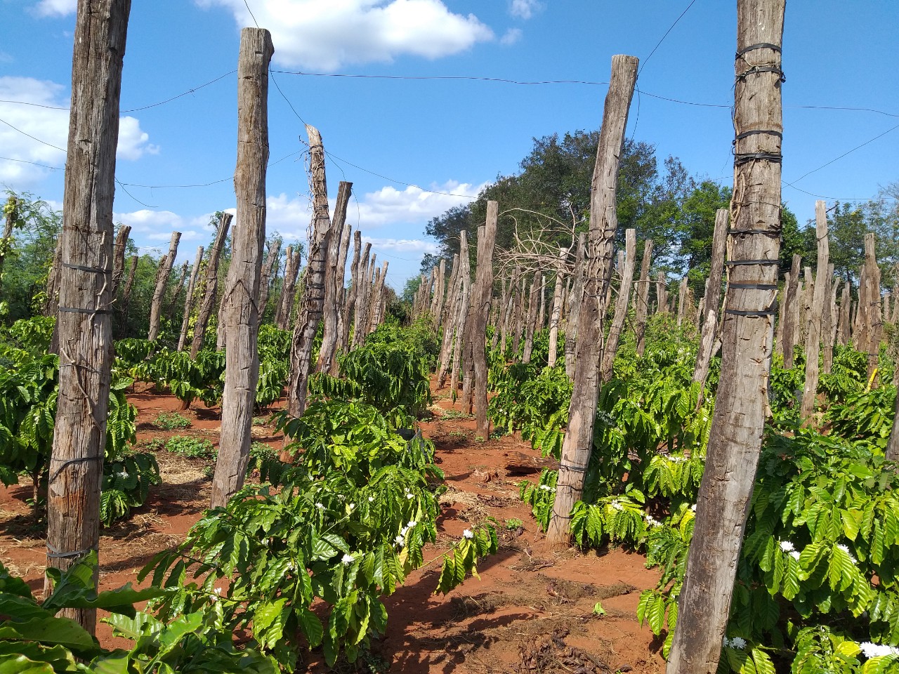 Quy định mới về quyết toán thuế thu nhập cá nhân áp dụng từ 14.2- Ảnh 2.