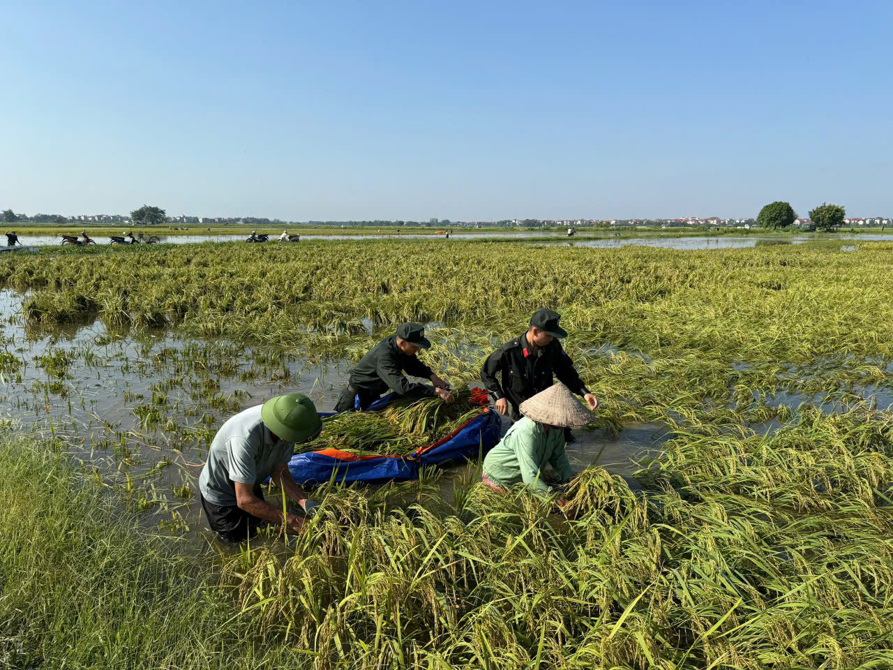 Công an Hà Nội trắng đêm giữ đê, giúp dân cứu lúa - Ảnh 5.