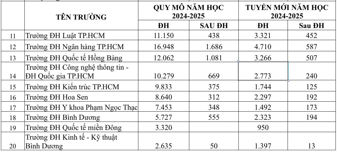 Trường ĐH nào có quy mô đào tạo lớn nhất TP.HCM? - Ảnh 3.