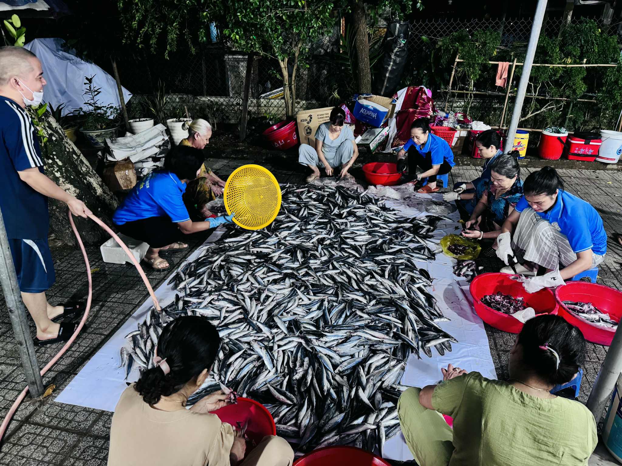 300 kg cá nục từ cố đô Huế gửi đến người dân vùng lũ Thái Nguyên - Ảnh 1.