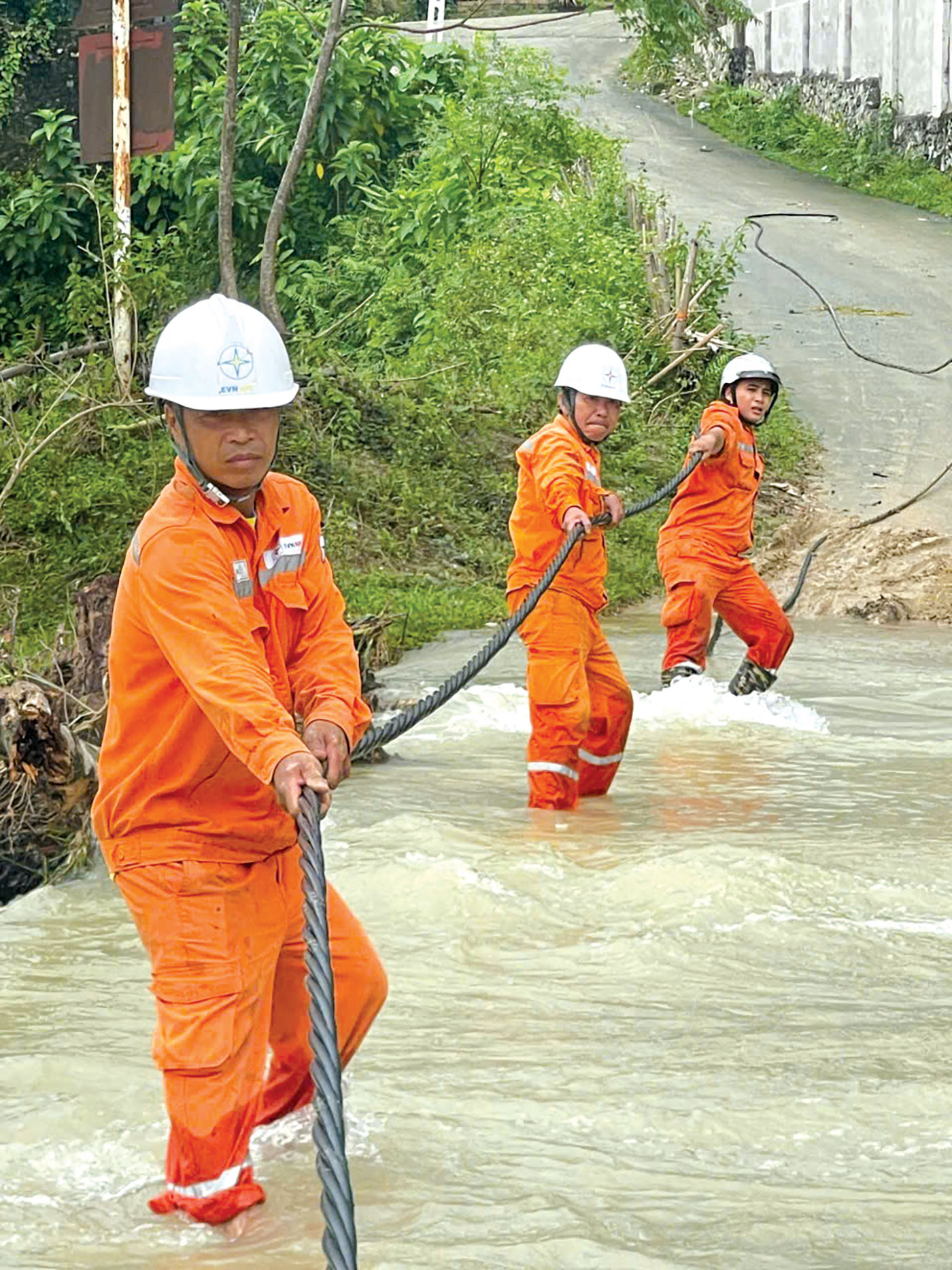 Tổng công ty Điện lực miền Bắc: Tự hào chặng đường 56 năm
- Ảnh 1.