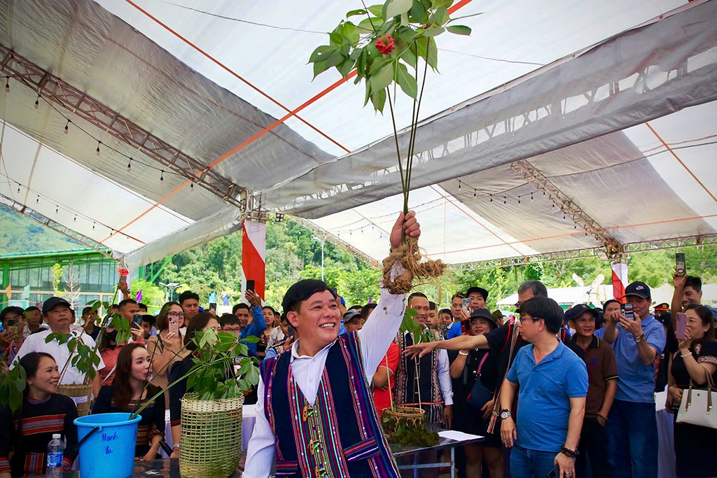 Sâm Ngọc Linh thành sứ giả của lòng nhân ái - Ảnh 3.