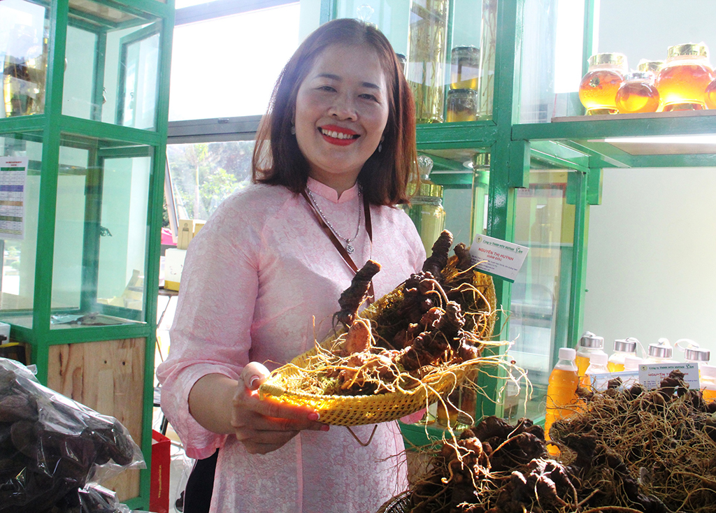Sâm Ngọc Linh thành sứ giả của lòng nhân ái - Ảnh 5.