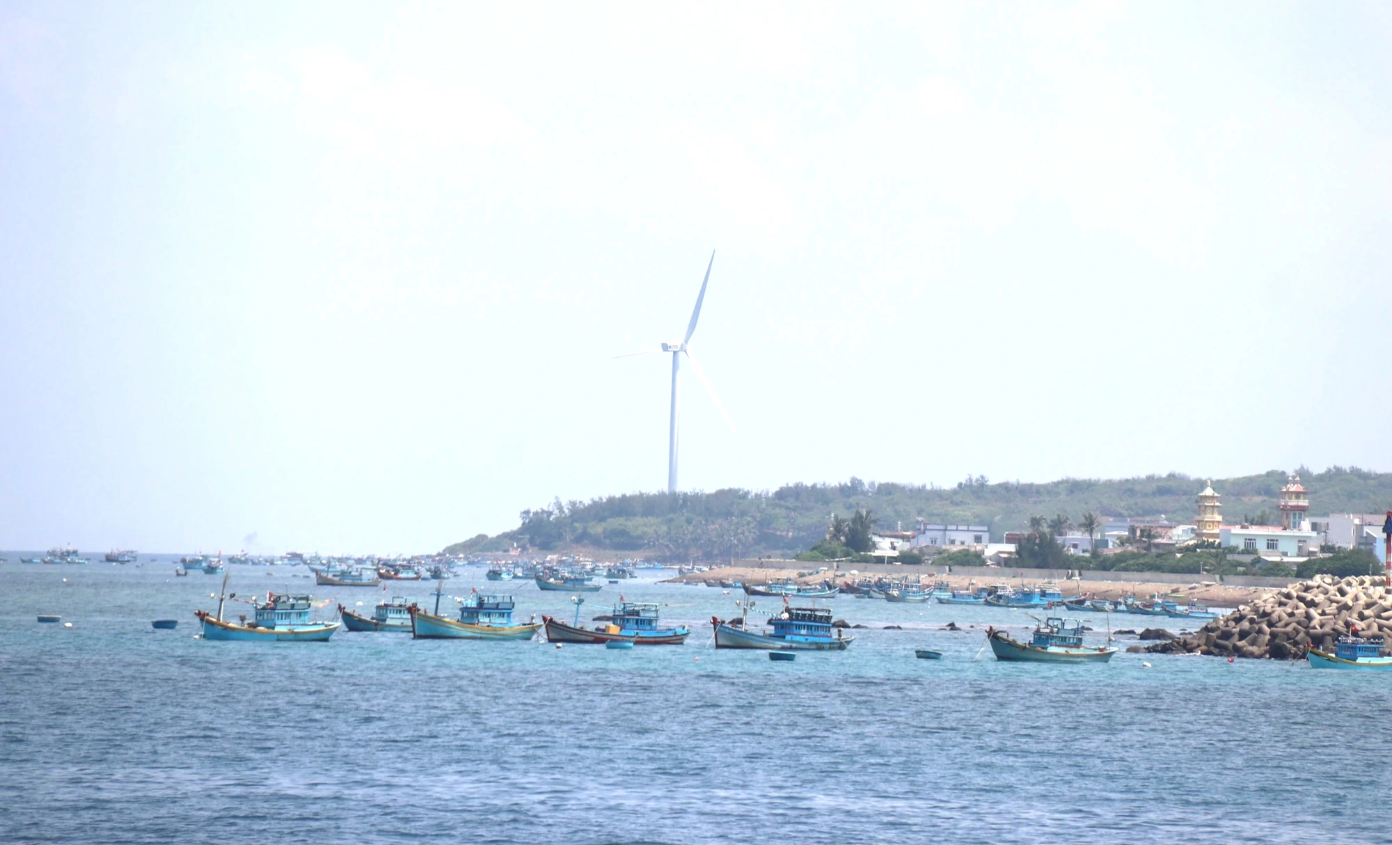 Đặc khu Phú Quý: Từ hậu cứ Trường Sa đến khát vọng làm giàu giữa trùng khơi - Ảnh 2.
