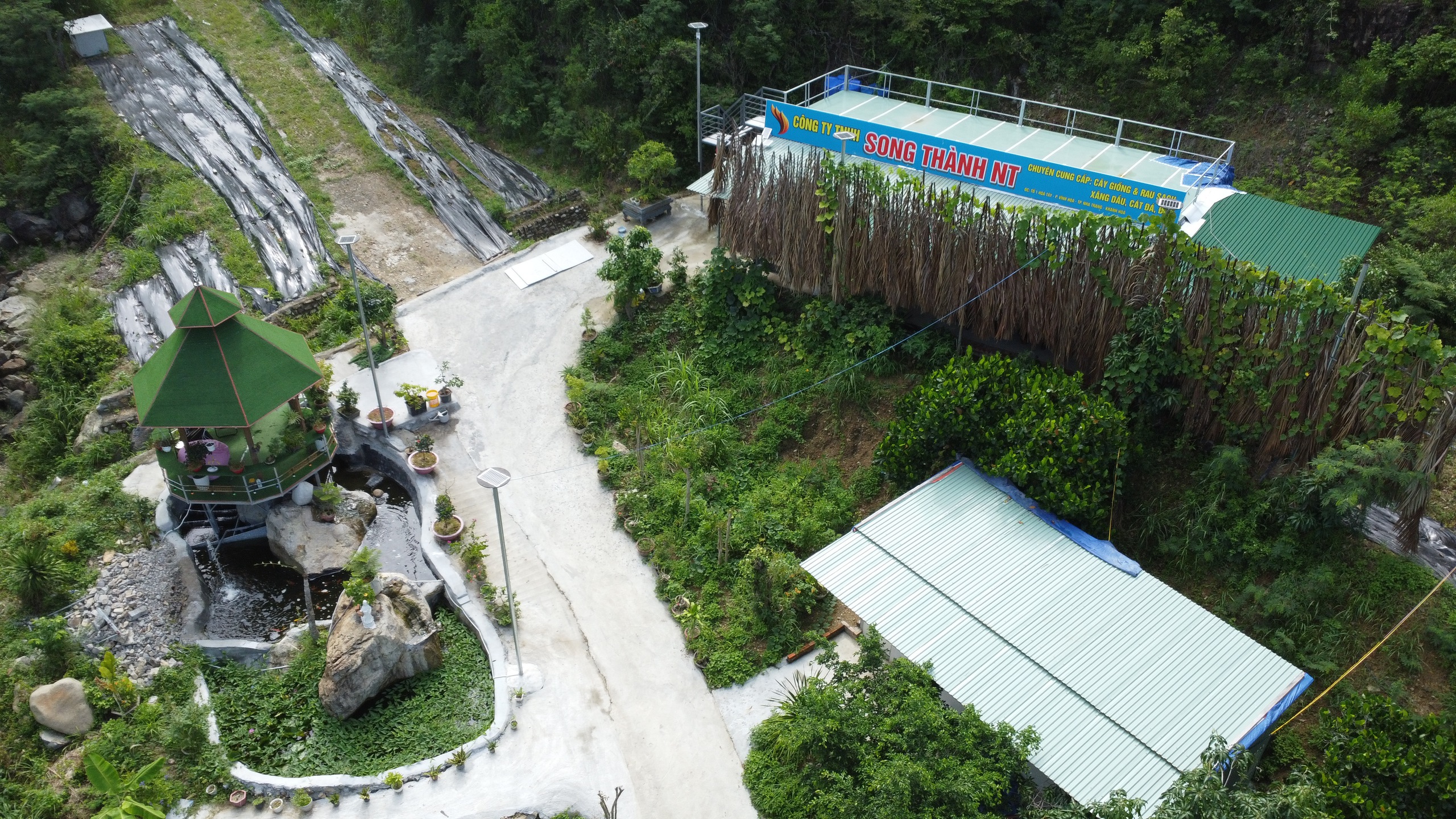 Nhiều dấu hiệu san ủi trái phép trên núi Cô Tiên - Nha Trang- Ảnh 1. Nhiều dấu hiệu san ủi trái phép trên núi Cô Tiên - Nha Trang- Ảnh 1.