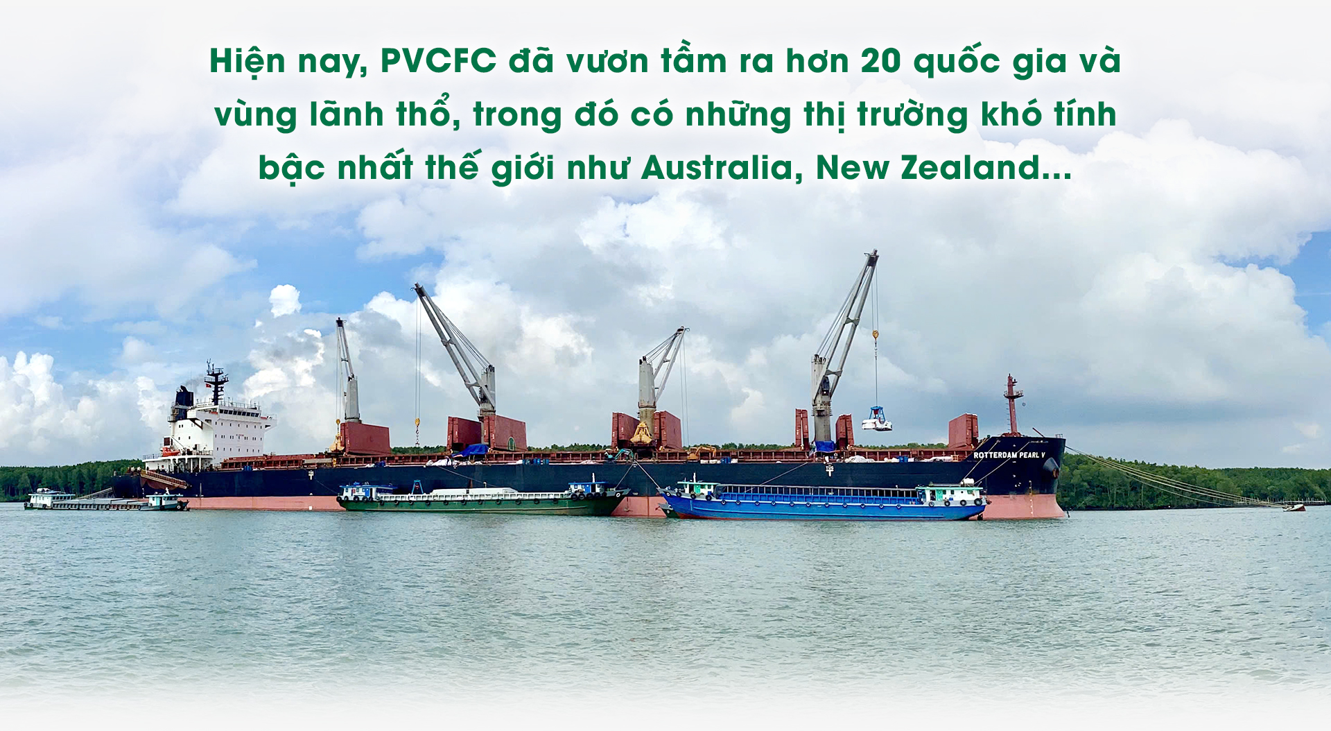 Phân bón Cà Mau: “Ngược dòng” để bứt phá - Ảnh 5.