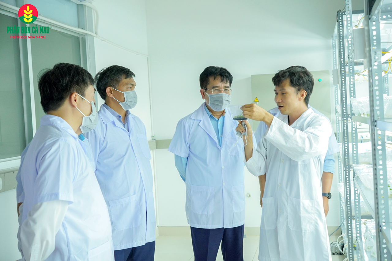 Phân bón Cà Mau: “Ngược dòng” để bứt phá - Ảnh 8.