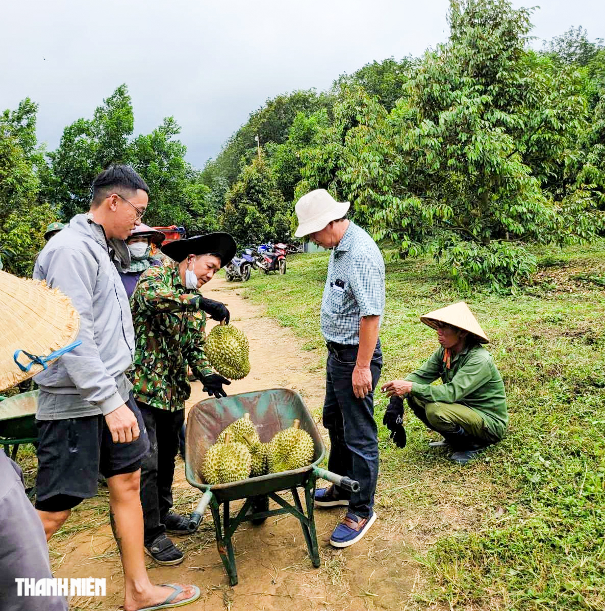 Bầu Đức và HAGL: Hành trình tái cấu trúc thành công trong kinh tế Việt Nam - Ảnh 3. Bầu Đức và HAGL: Hành trình tái cấu trúc thành công trong kinh tế Việt Nam - Ảnh 3.