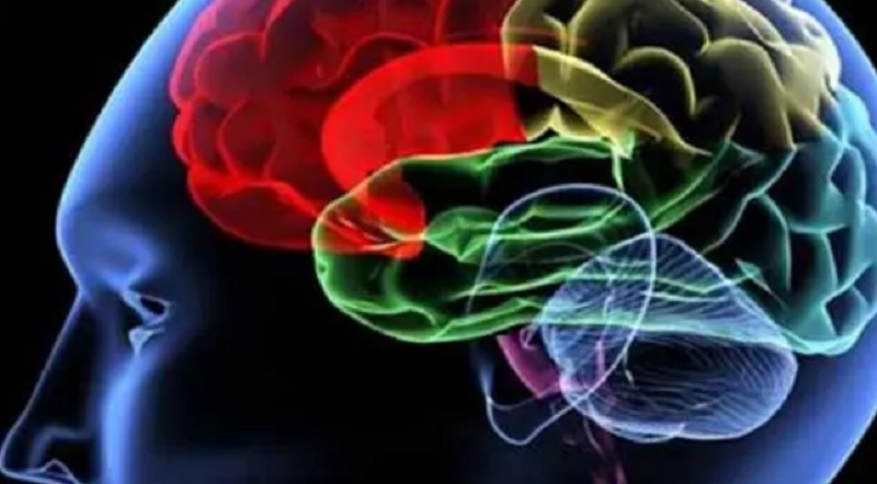 Vì sao WHO kêu gọi tập trung khẩn cấp vào sức khỏe não bộ?- Ảnh 1.