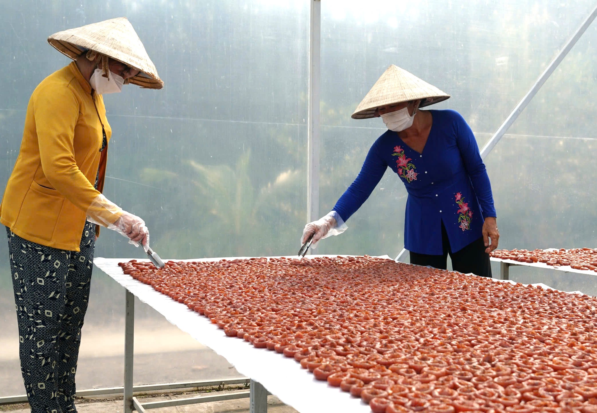 Người đưa mận trắng thành món mứt 'trứ …