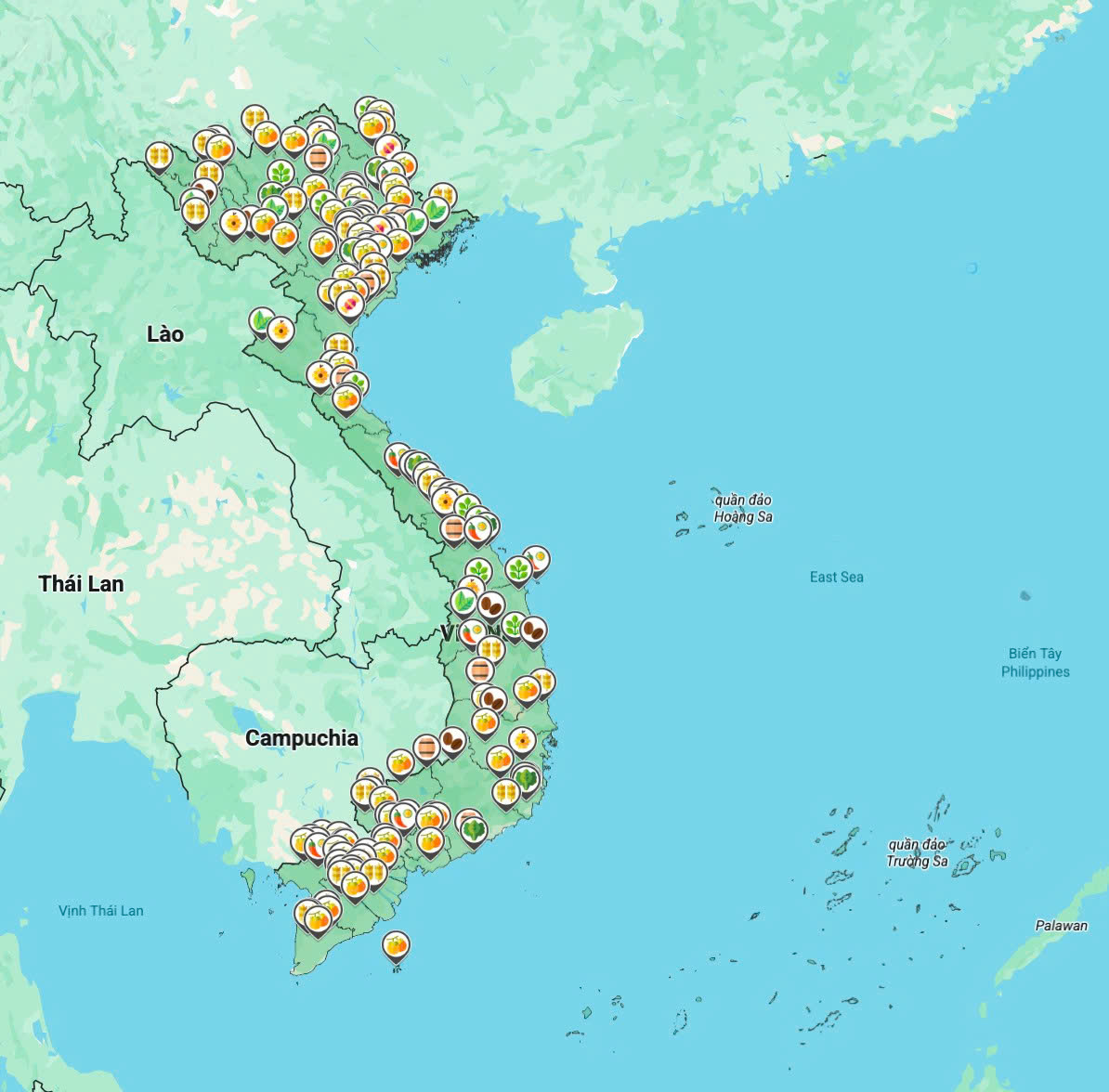 Đưa nông sản Việt lên bản đồ số- Ảnh 2. Đưa nông sản Việt lên bản đồ số- Ảnh 2.