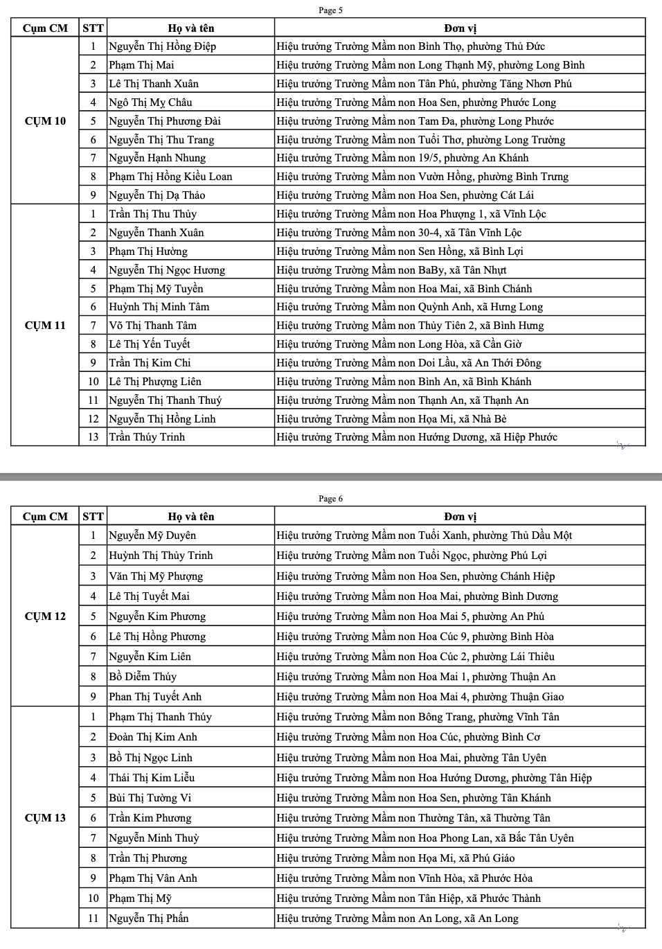16 hiệu trưởng TP.HCM được phân công là cụm trưởng cụm chuyên môn mầm non - Ảnh 4.