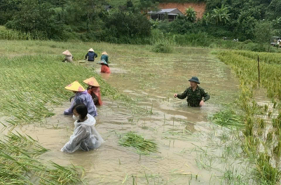 Dầm mưa, lội bùn giúp dân dọn dẹp sau bão lũ- Ảnh 3. Dầm mưa, lội bùn giúp dân dọn dẹp sau bão lũ- Ảnh 3.