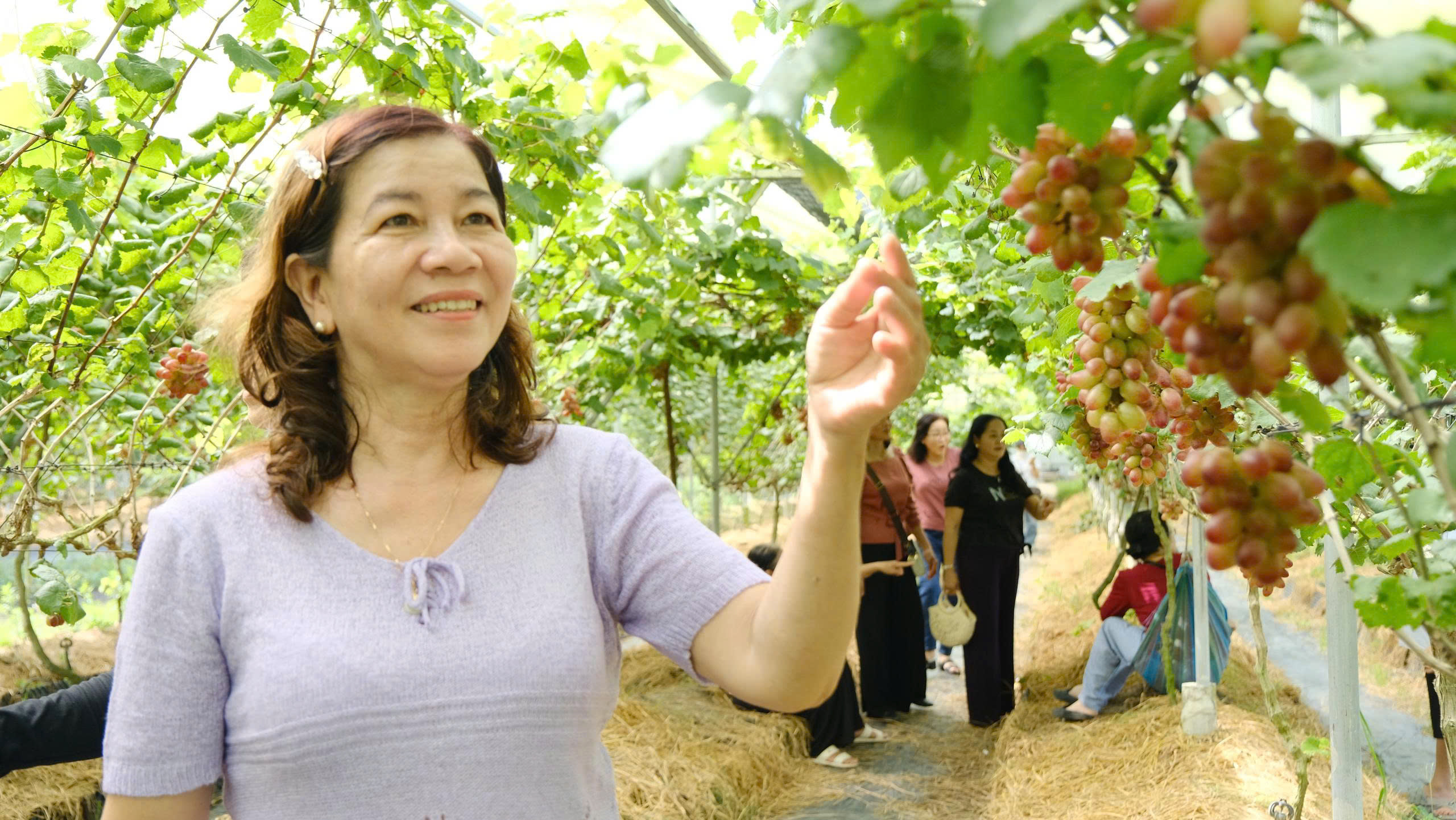 Ch&agrave;ng trai 'bắt' nho Ninh Thuận b&eacute;n rễ tr&ecirc;n đất ph&ugrave; sa để l&agrave;m du lịch - Ảnh 5.