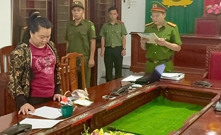 Lừa 'chạy án' 2,5 tỉ đồng, bà Hồ Thị Mỹ Hạnh bị bắt - Ảnh 1.