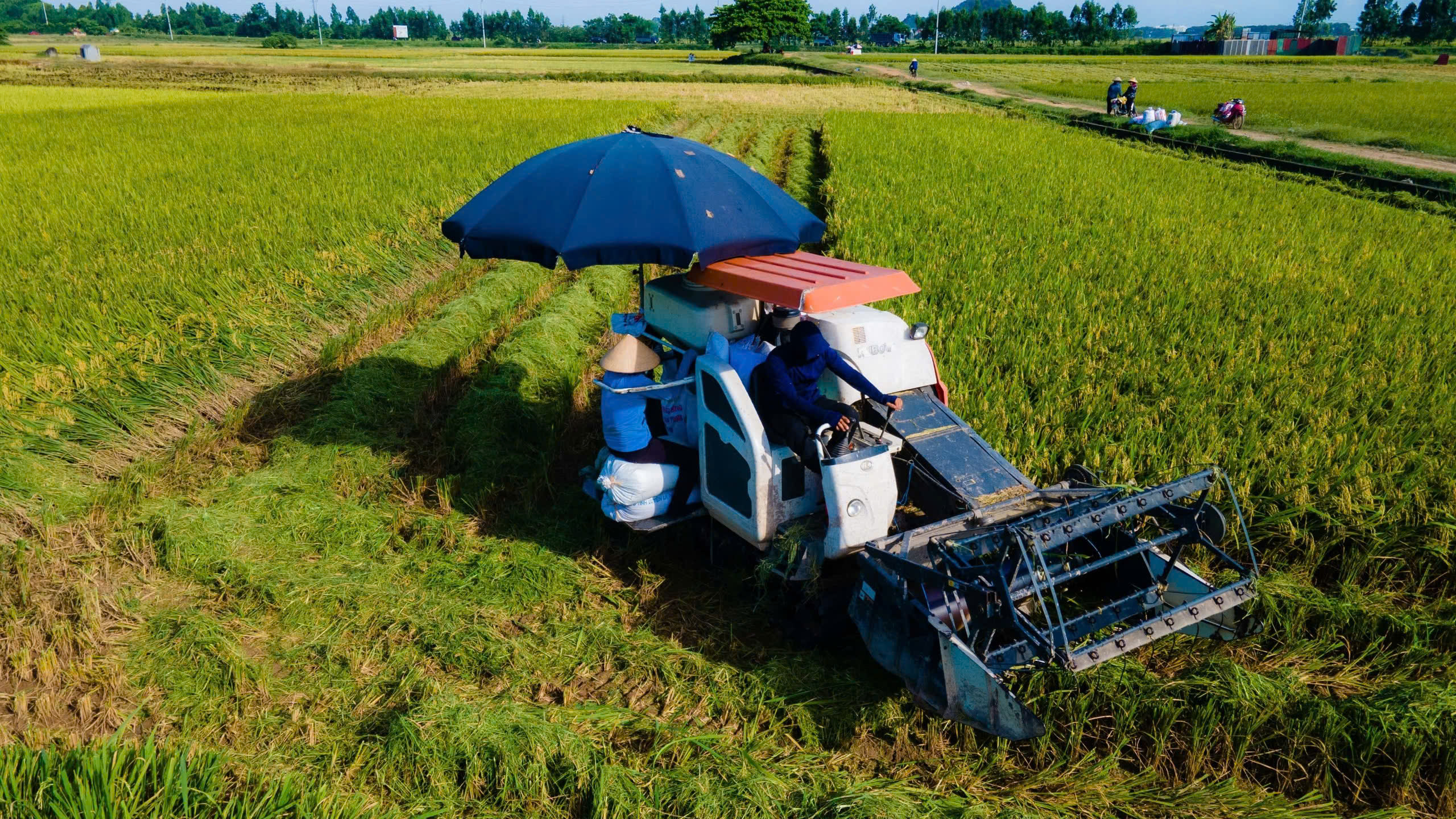 Hà Nội muốn chi gần 900 tỉ đồng/năm hỗ trợ chính sách phát triển nông nghiệp, nông thôn- Ảnh 2. Hà Nội muốn chi gần 900 tỉ đồng/năm hỗ trợ chính sách phát triển nông nghiệp, nông thôn- Ảnh 2.