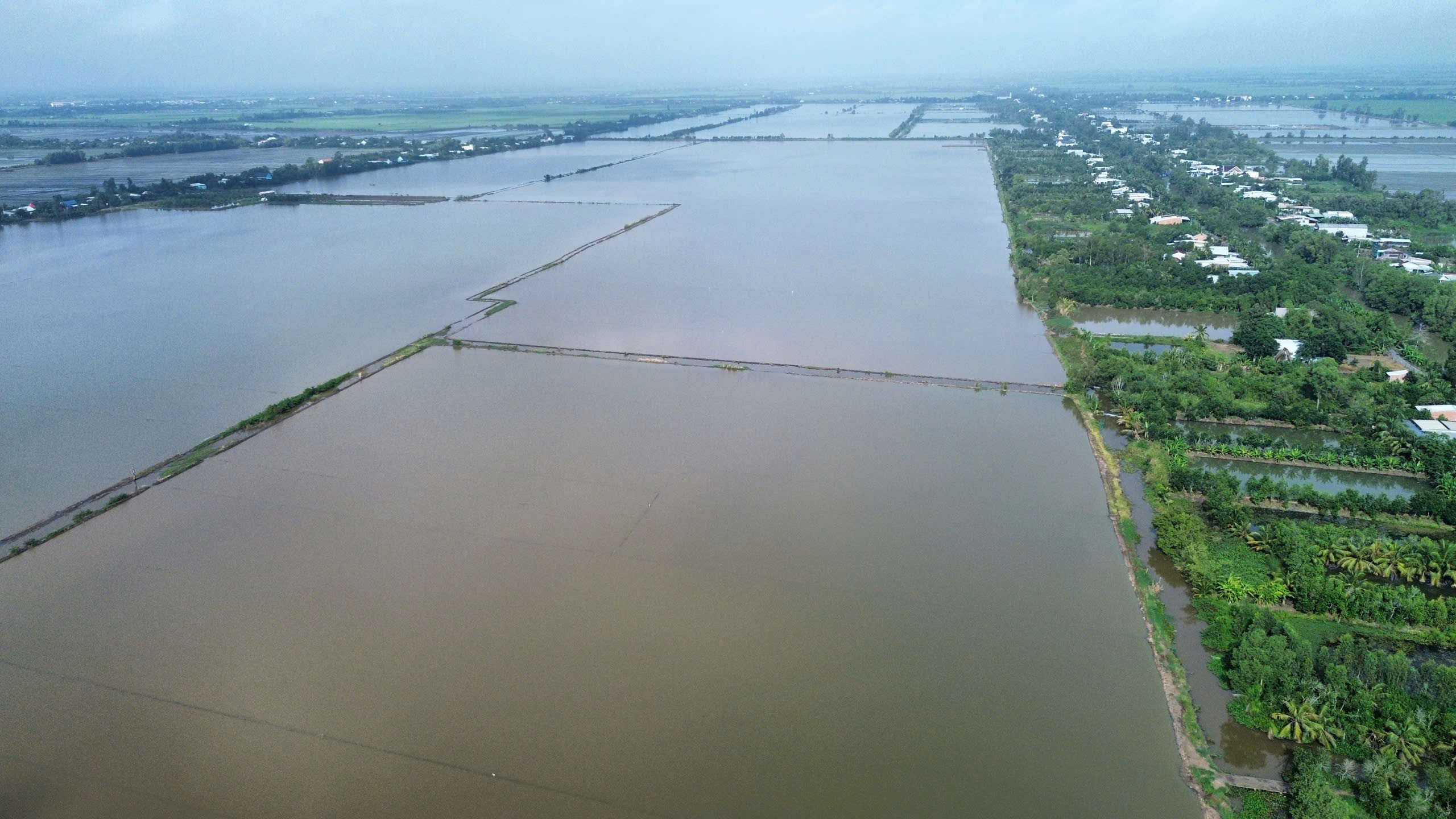 Tây Ninh: Mưa lũ khẩn cấp, nước sông Vàm Cỏ Đông vượt báo động III- Ảnh 1. Tây Ninh: Mưa lũ khẩn cấp, nước sông Vàm Cỏ Đông vượt báo động III- Ảnh 1.