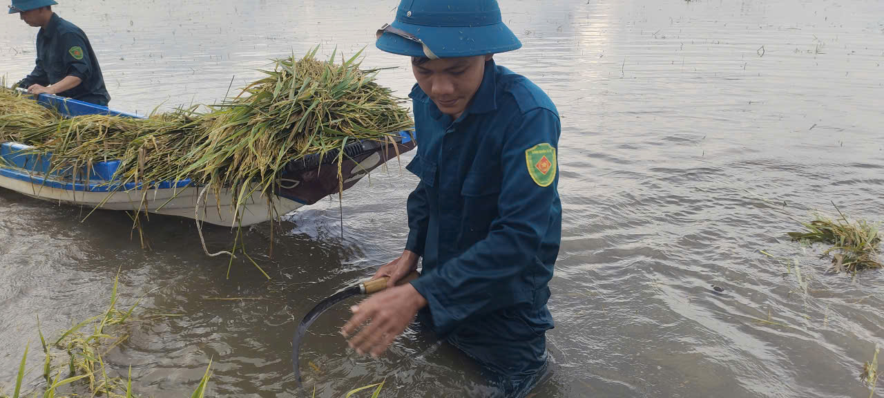 Tây Ninh: Mưa lũ khẩn cấp, nước sông Vàm Cỏ Đông vượt báo động III- Ảnh 2. Tây Ninh: Mưa lũ khẩn cấp, nước sông Vàm Cỏ Đông vượt báo động III- Ảnh 2.