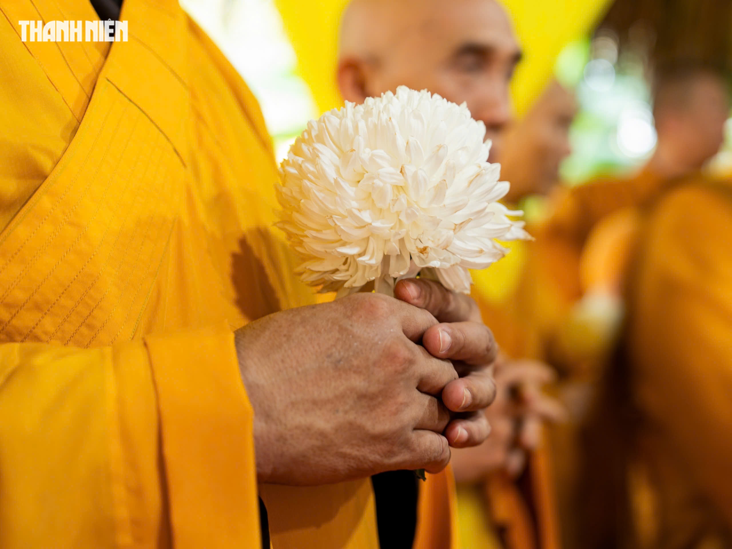 Lễ tr&agrave; tỳ, nhập bảo th&aacute;p trưởng l&atilde;o h&ograve;a thượng Th&iacute;ch Từ Th&ocirc;ng ở ch&ugrave;a Thanh Sơn - Ảnh 14.