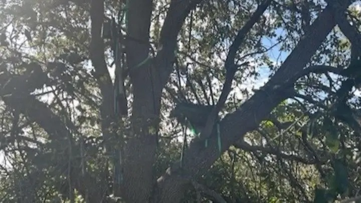 Mật vụ Mỹ phát hiện ‘tổ săn bắn’, ông Trump phải lên chuyên cơ bằng thang phụ - Ảnh 1.