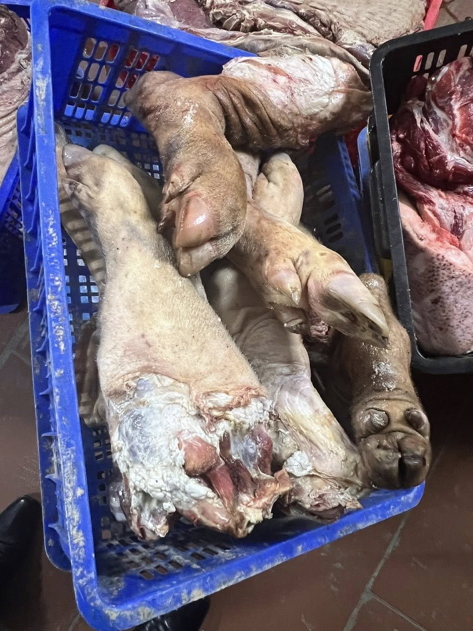 - Ảnh 4. - Ảnh 4.
