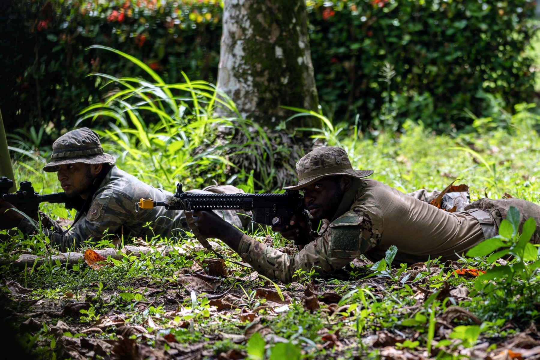 Quân đội Mỹ tập trận sinh tồn trong rừng Panama giữa căng thẳng với Venezuela - Ảnh 1.