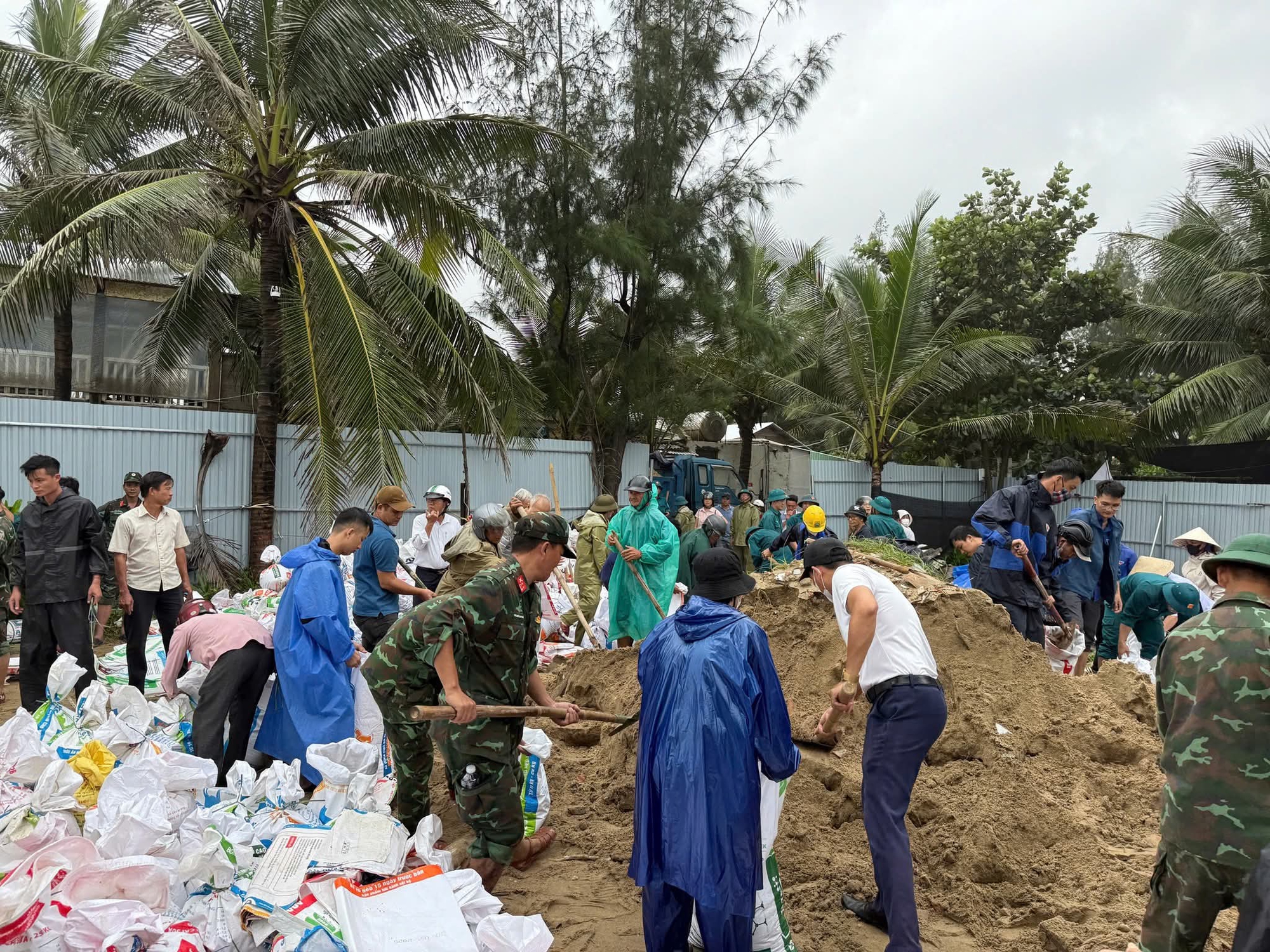 Đà Nẵng khắc phục sạt lở bờ biển Hội An sau bão số 12 - Ảnh 4. Đà Nẵng khắc phục sạt lở bờ biển Hội An sau bão số 12 - Ảnh 4.