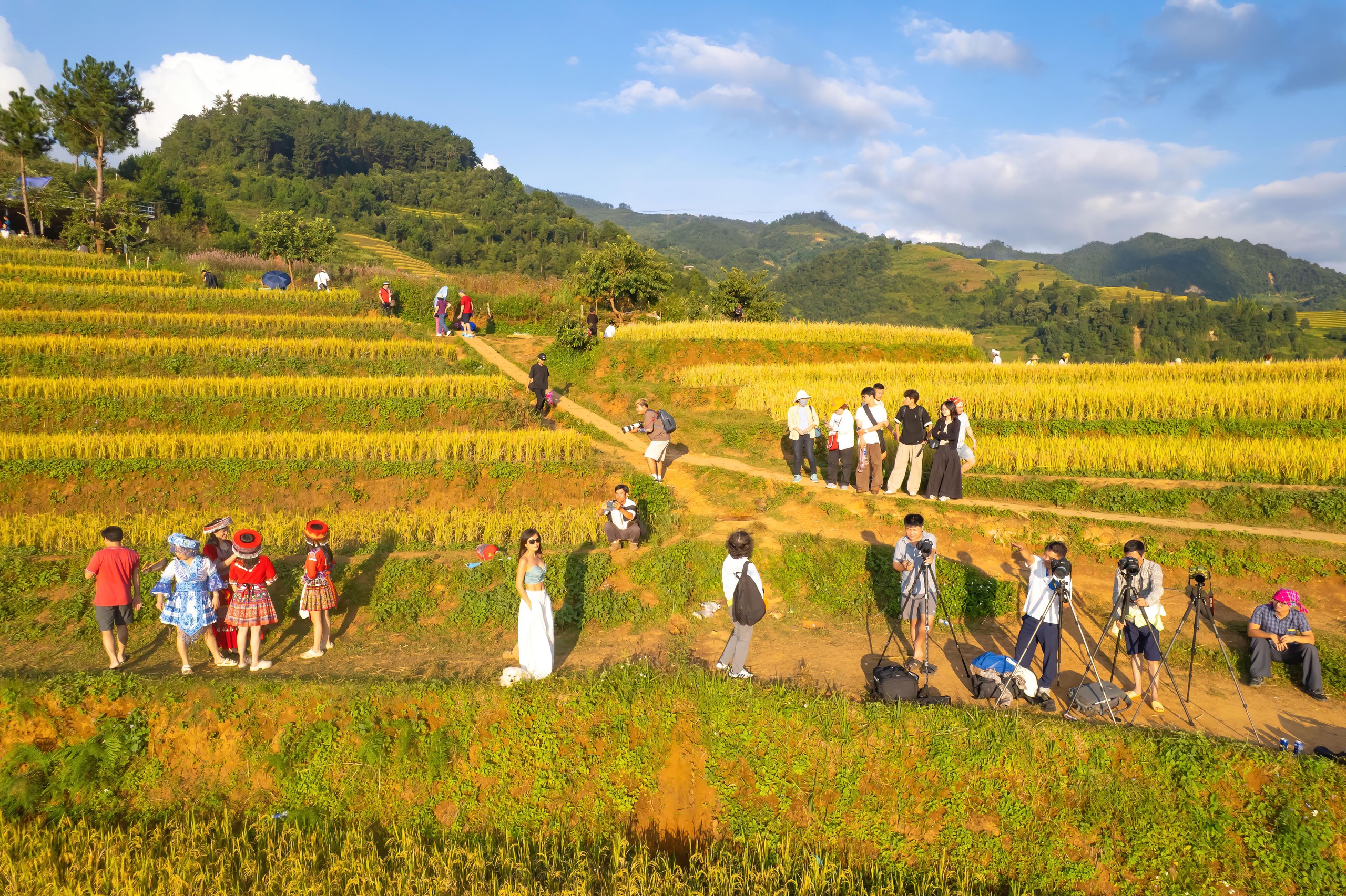 Đẹp nao lòng bức tranh mùa lúa chín ở Mù Cang Chải- Ảnh 11. Đẹp nao lòng bức tranh mùa lúa chín ở Mù Cang Chải- Ảnh 11.