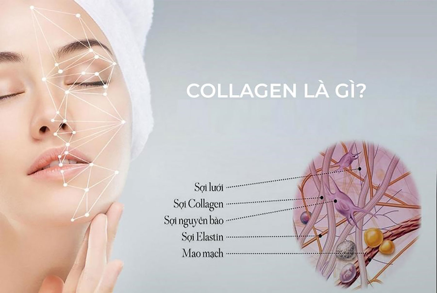 Tác Dụng Của Collagen Trong Việc Làm Đẹp Khiến Phụ Nữ 30+ ‘Yêu’ Hơn Cả Skincare High-End- Ảnh 2. Tác Dụng Của Collagen Trong Việc Làm Đẹp Khiến Phụ Nữ 30+ ‘Yêu’ Hơn Cả Skincare High-End- Ảnh 2.