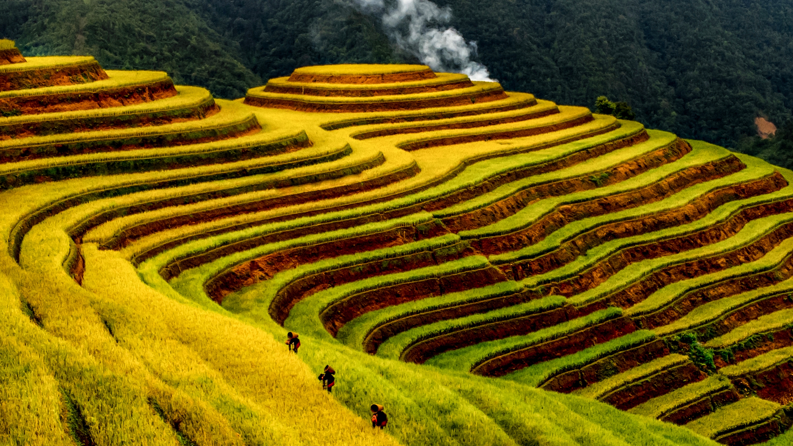 Đẹp nao lòng bức tranh mùa lúa chín ở Mù Cang Chải- Ảnh 5. Đẹp nao lòng bức tranh mùa lúa chín ở Mù Cang Chải- Ảnh 5.