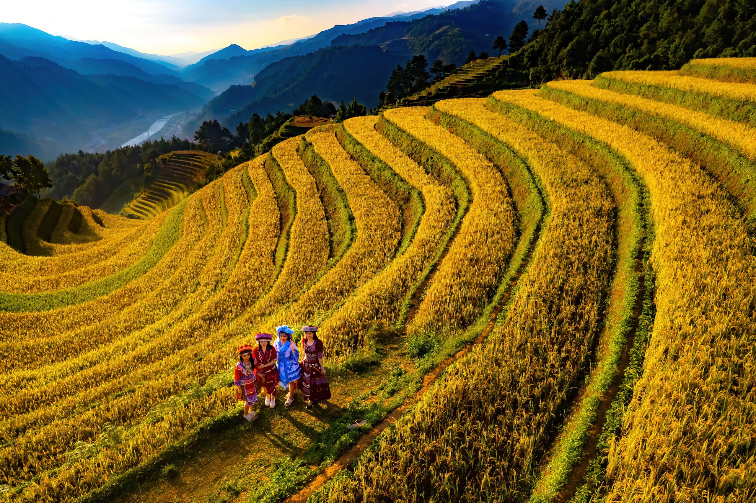 Đẹp nao lòng bức tranh mùa lúa chín ở Mù Cang Chải- Ảnh 6. Đẹp nao lòng bức tranh mùa lúa chín ở Mù Cang Chải- Ảnh 6.