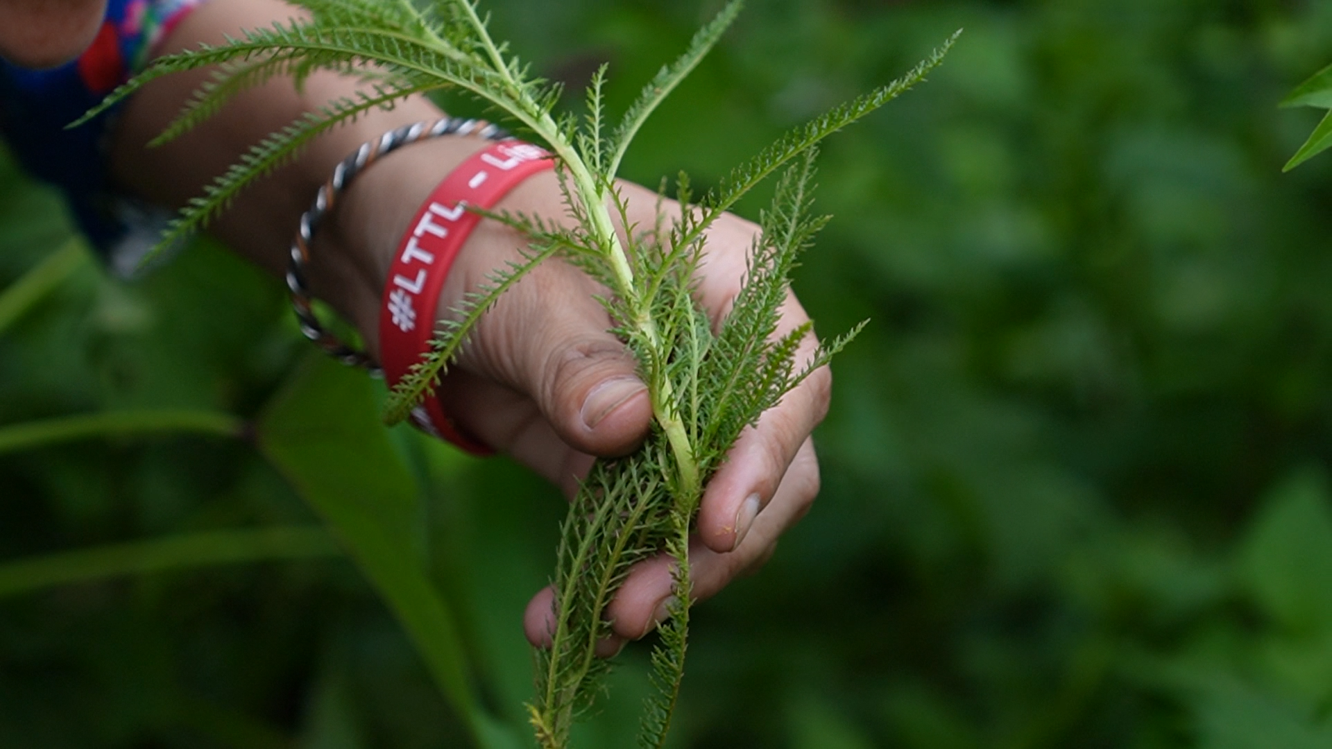 Cùng sống xanh số 130: Giấc mơ của Thầy Mo ở giữa dãy núi Hoàng Liên Sơn- Ảnh 2. Cùng sống xanh số 130: Giấc mơ của Thầy Mo ở giữa dãy núi Hoàng Liên Sơn- Ảnh 2.