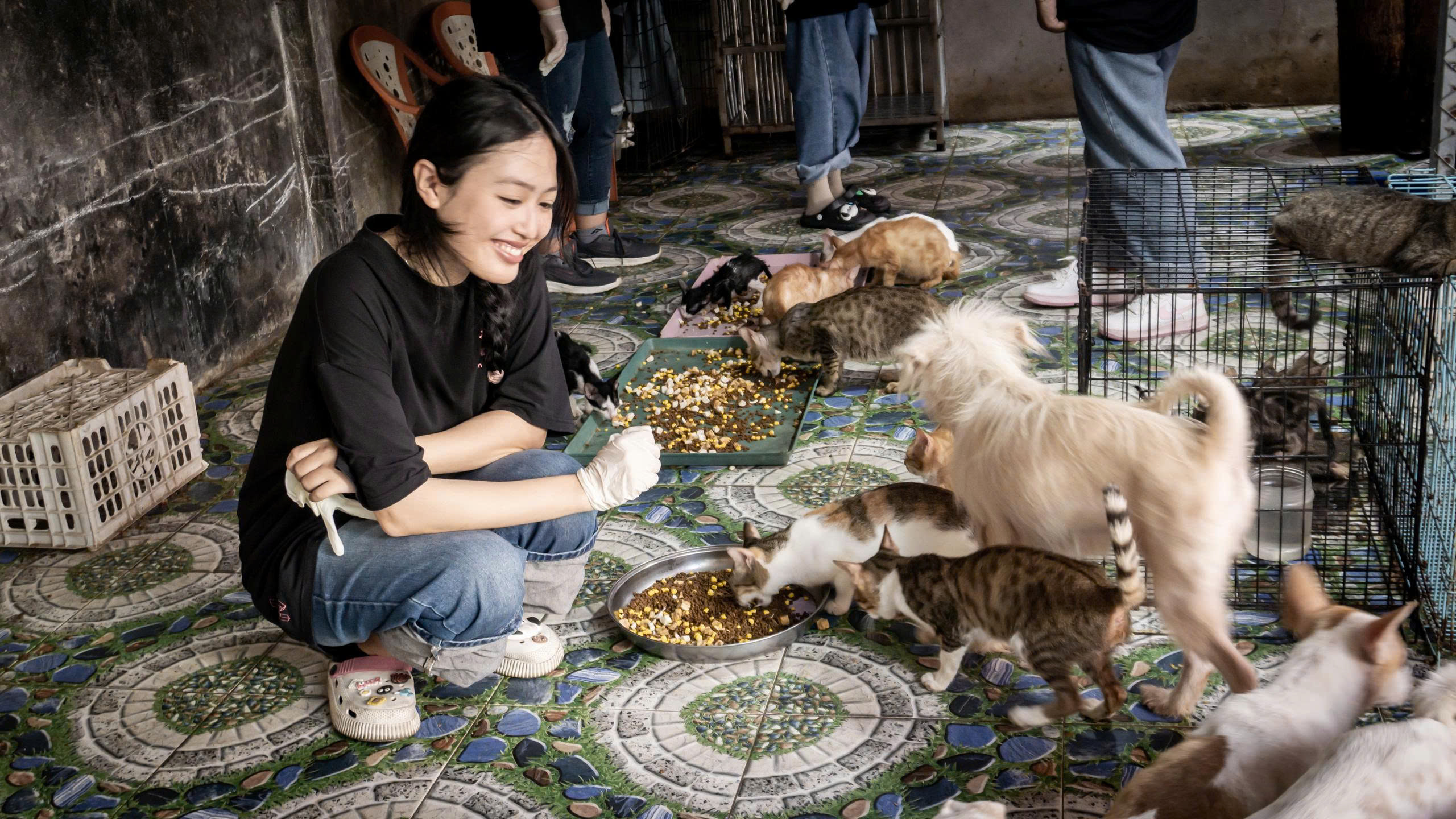 - Ảnh 1. - Ảnh 1.