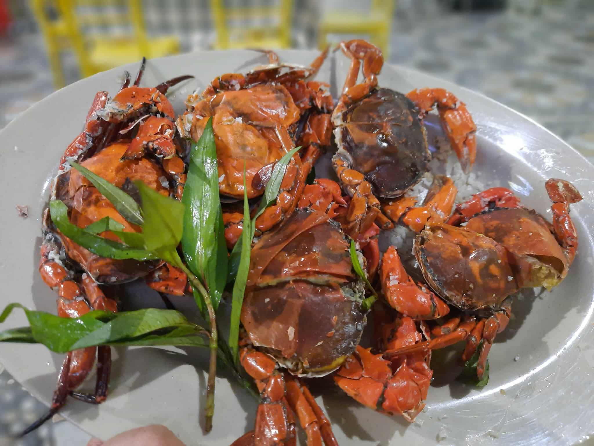 Cua cốm – món quà không dành cho người vội ở đất rừng Cà Mau- Ảnh 1. Cua cốm – món quà không dành cho người vội ở đất rừng Cà Mau- Ảnh 1.