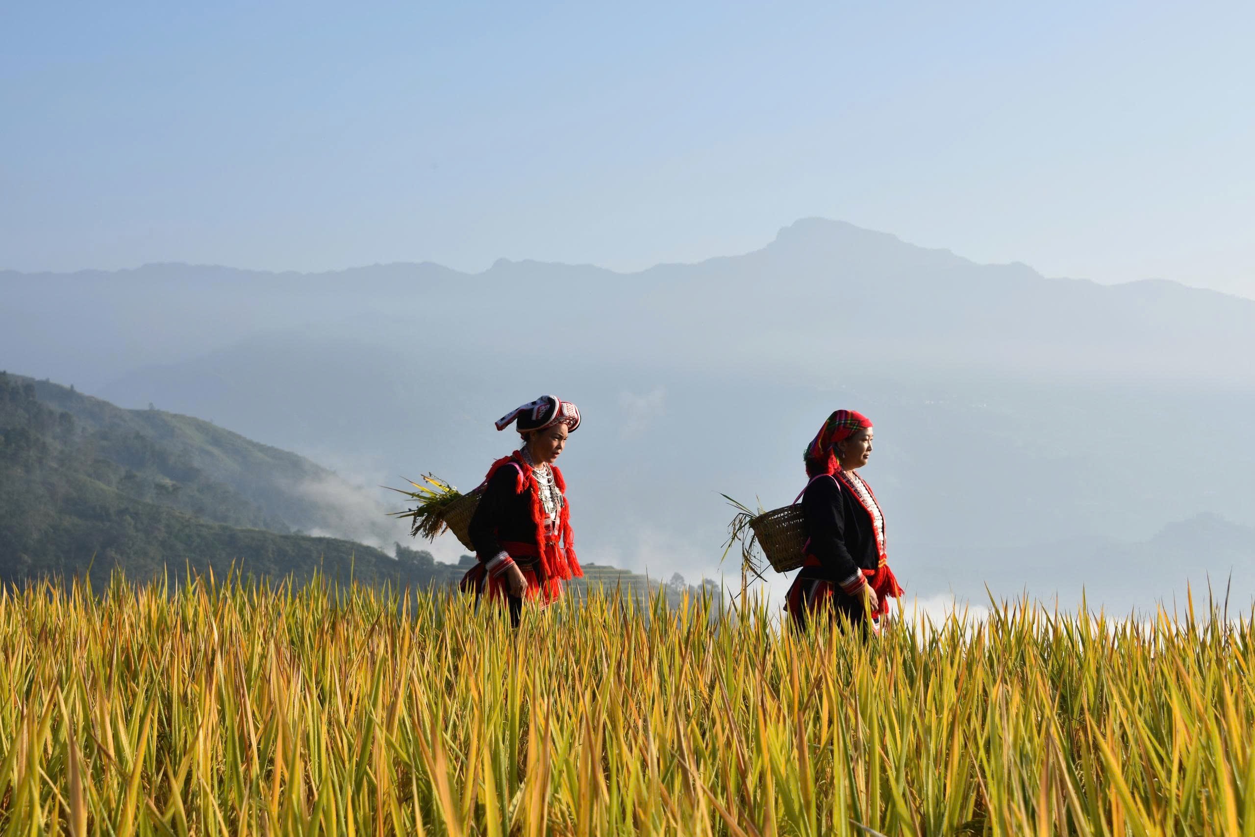 Song Thủ Lô Khung 2 Ngày Miền Bắc - Bí Quyết Và Chiến Thuật Chinh Phục Giải Đặc Biệt