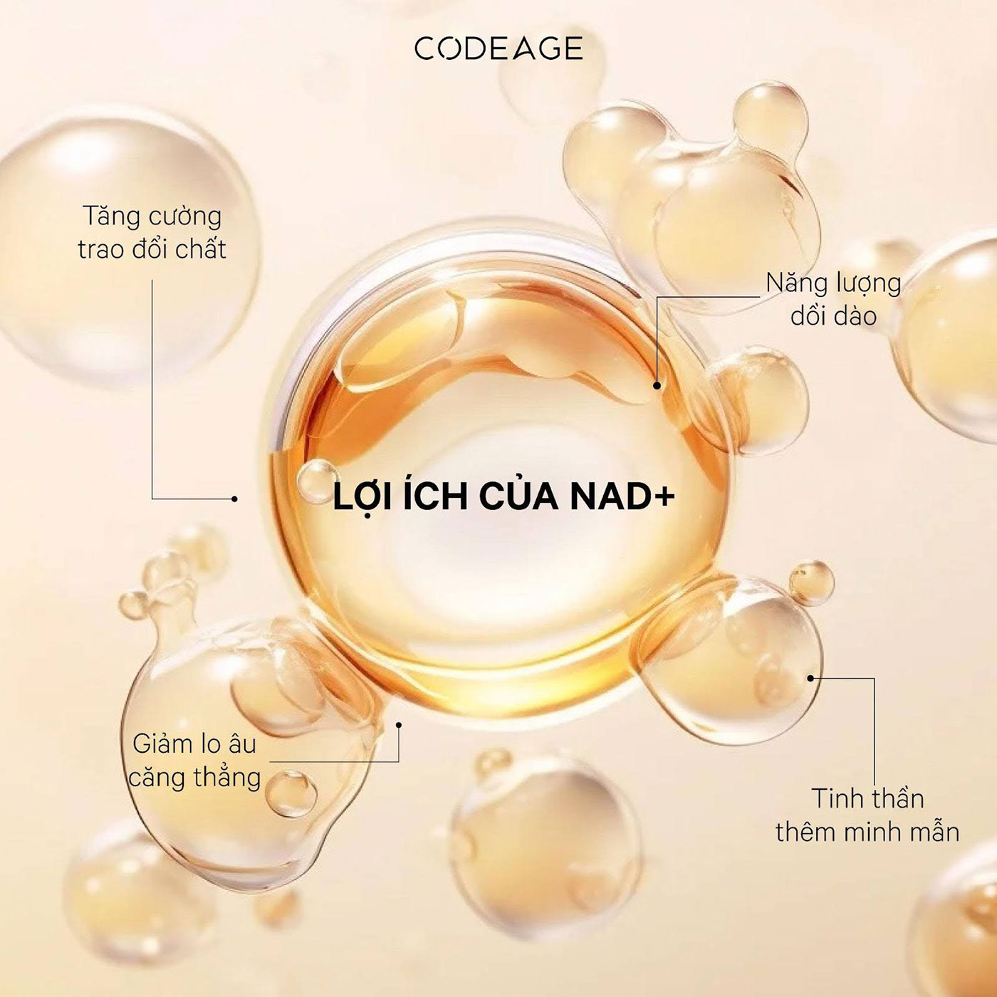 NMN là gì? Có phải là hoạt chất 'làm chậm quá trình lão hóa'?
- Ảnh 2. 
NMN là gì? Có phải là hoạt chất 'làm chậm quá trình lão hóa'?
- Ảnh 2.