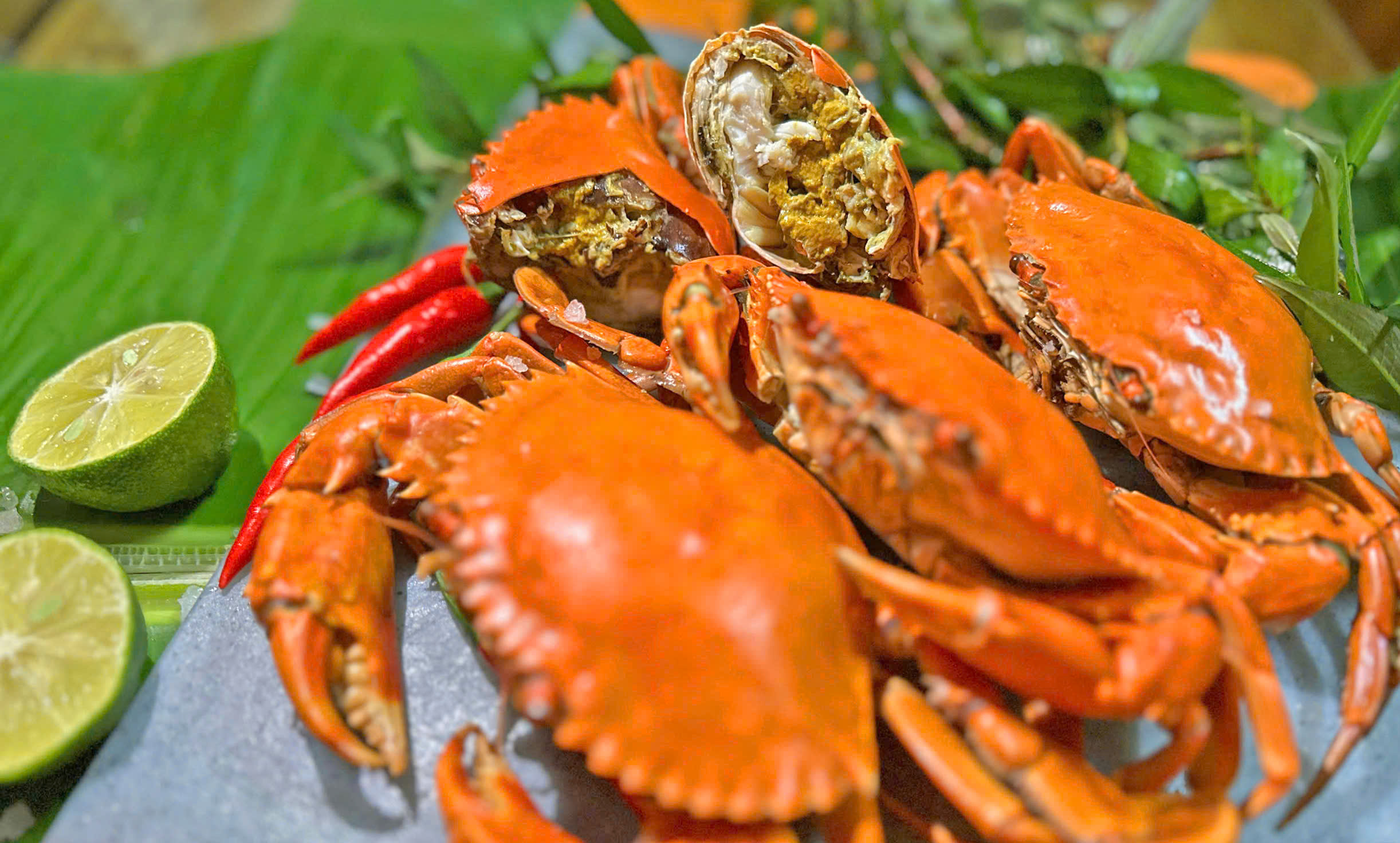 Cua yếm vuông Cà Mau: Món đặc sản khiến dân sành ăn bỏ cua gạch - Ảnh 1.