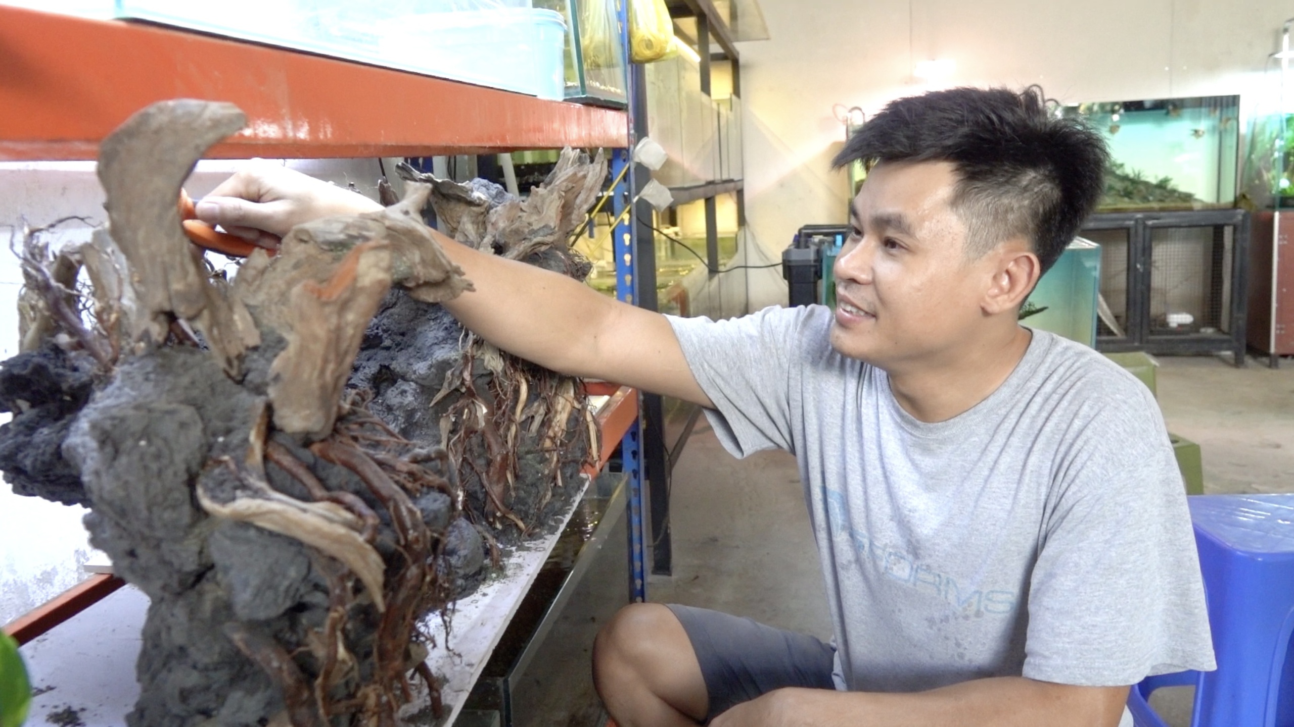 ‘Liều mình’ bỏ nghề cũ, chàng trai có thu nhập cao từ hồ thủy sinh- Ảnh 2. ‘Liều mình’ bỏ nghề cũ, chàng trai có thu nhập cao từ hồ thủy sinh- Ảnh 2.