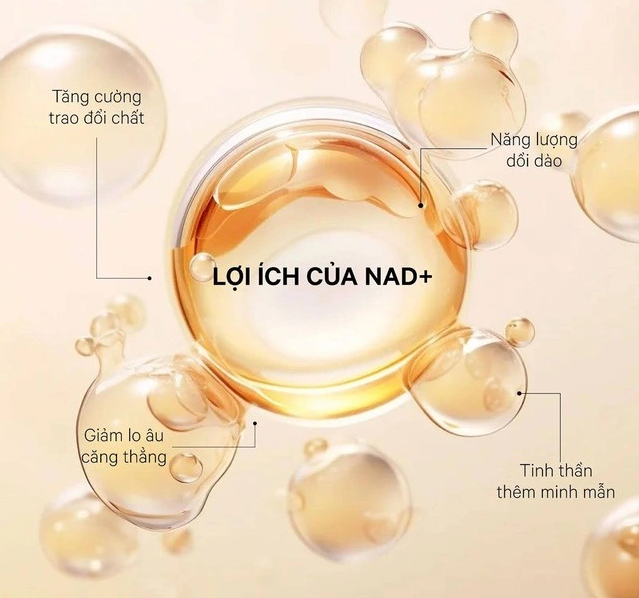NMN l&agrave; g&igrave;? C&oacute; phải l&agrave; hoạt chất 'l&agrave;m chậm qu&aacute; tr&igrave;nh l&atilde;o h&oacute;a'? - Ảnh 1.
