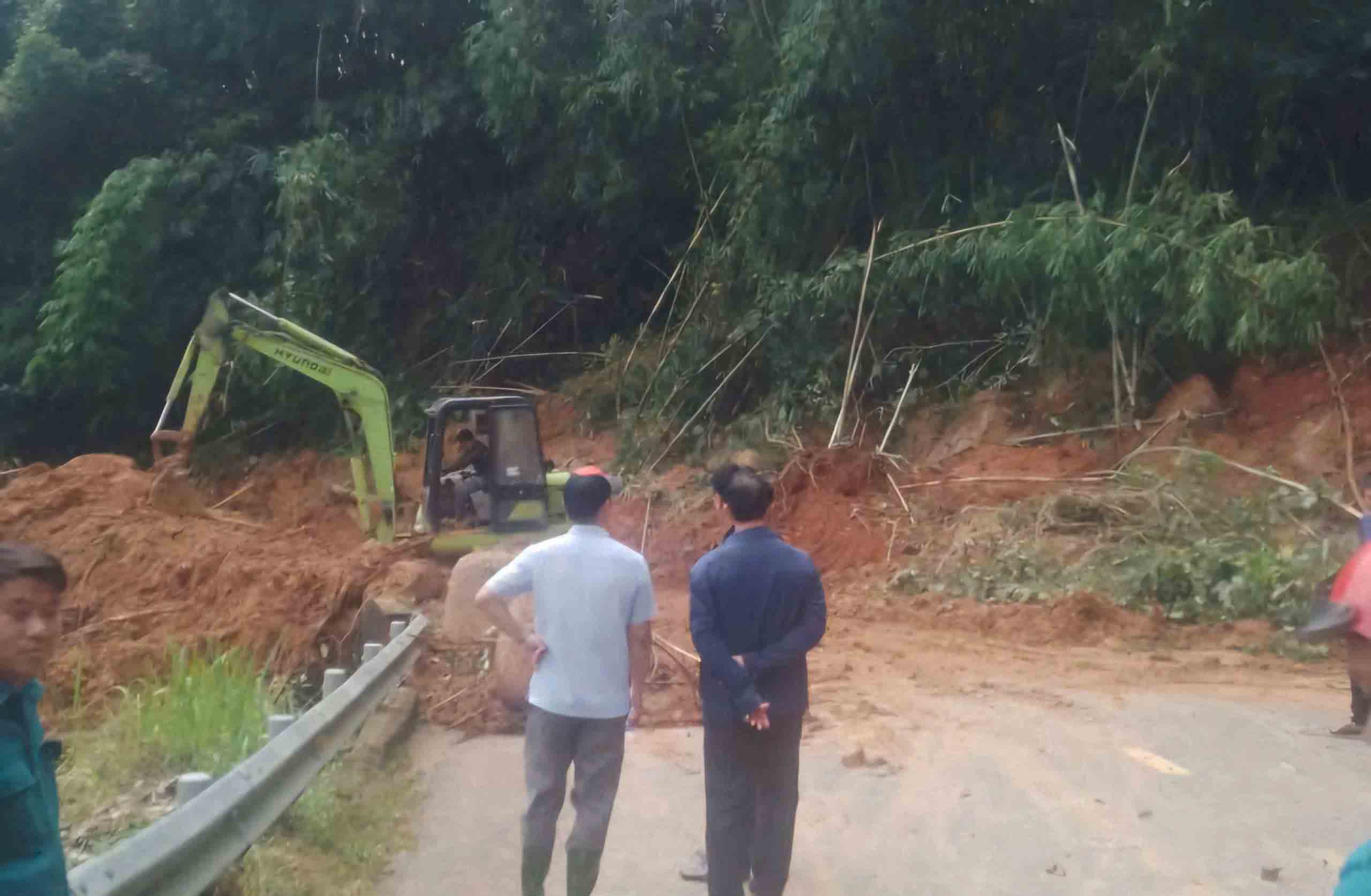 - Ảnh 3.  - Ảnh 3.