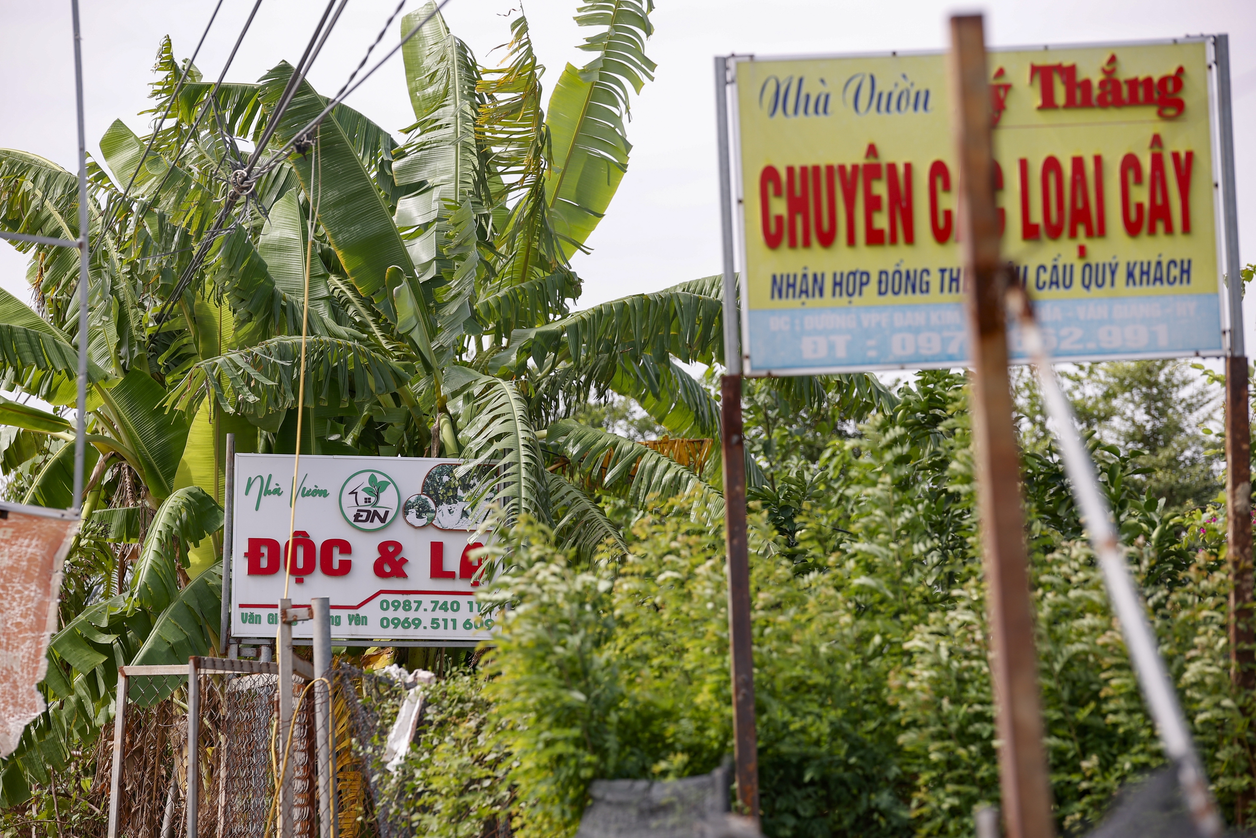 Gambar tempat di mana stadion terbesar di Vietnam akan dibangun: Fasilitas olahraga kelas dunia - Foto 9. Hình ảnh nơi sắp xây sân vận động lớn nhất Việt Nam: Công trình thể thao tầm cỡ thế giới- Ảnh 9.